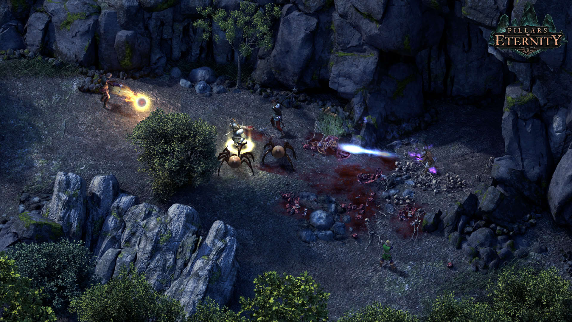 Screenshot for Pillars of Eternity