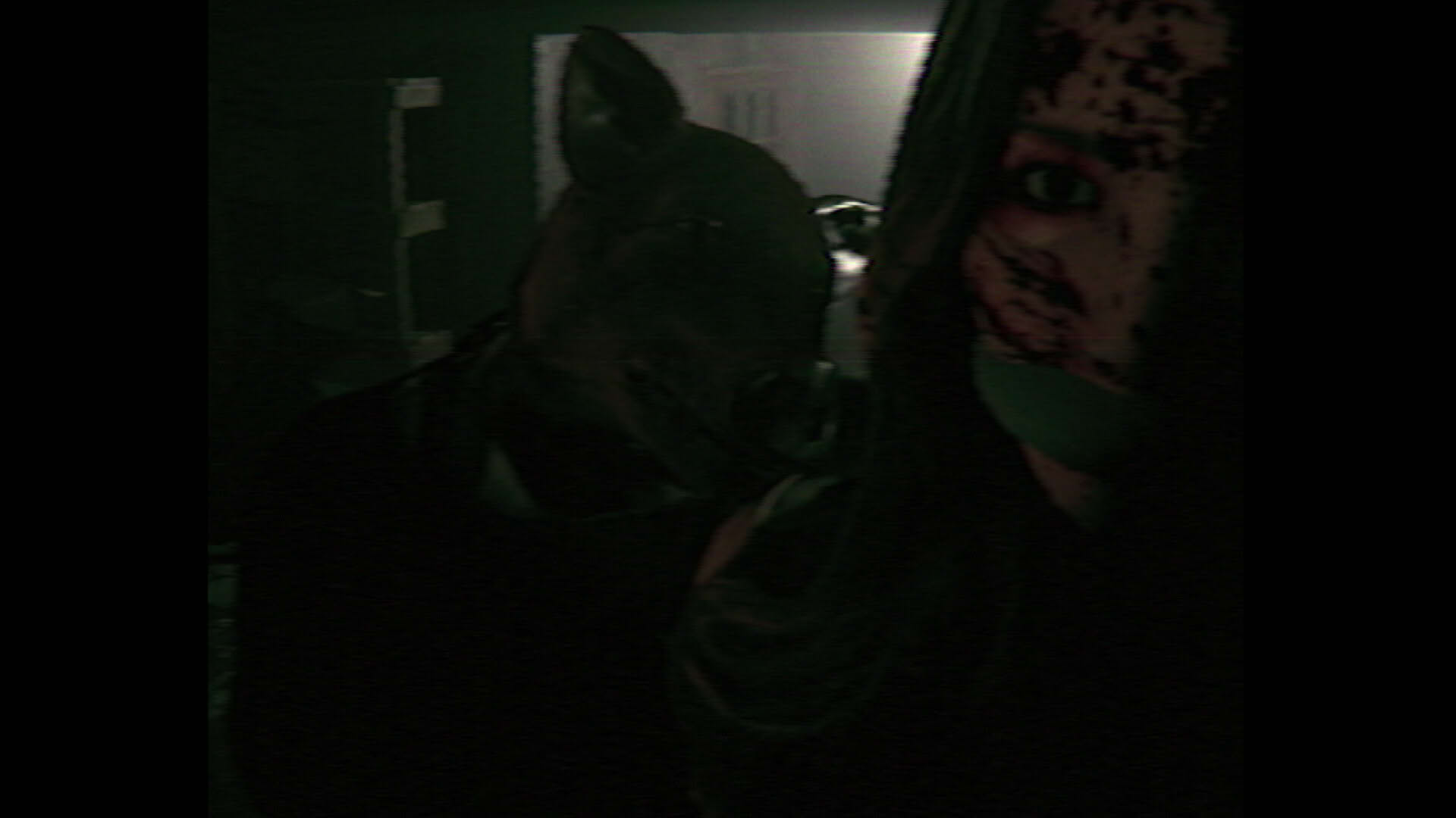 Screenshot for Psychopath Massacre