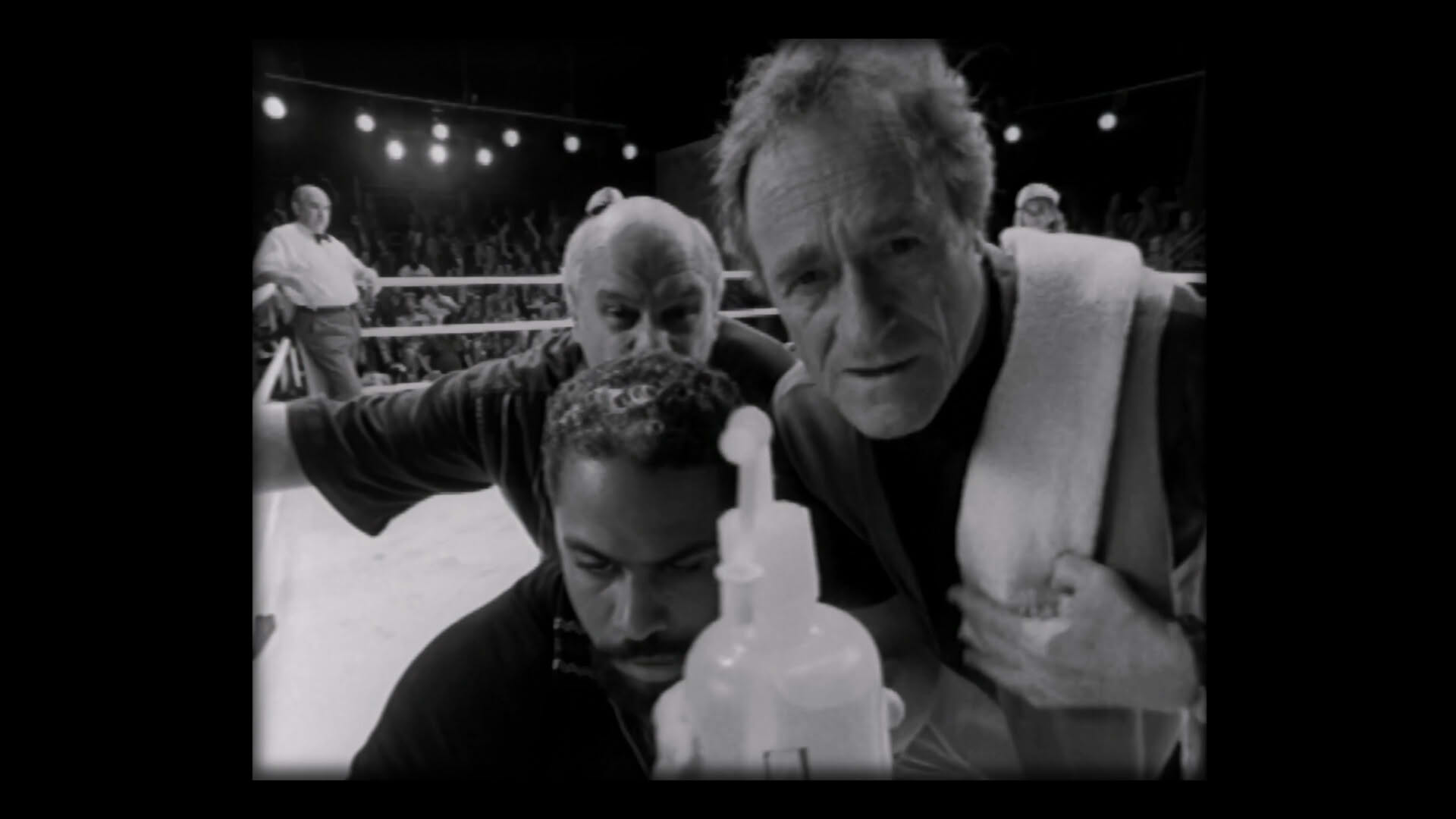 Screenshot for Prize Fighter