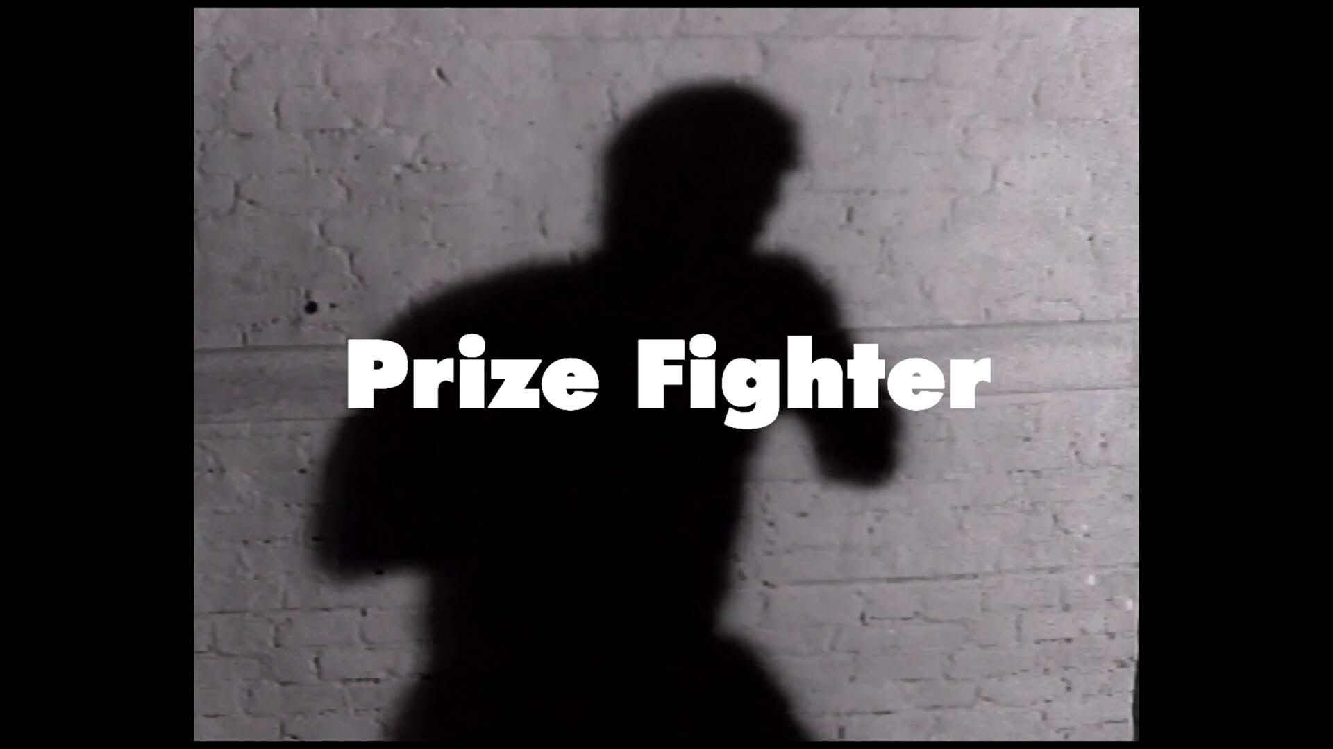 Screenshot for Prize Fighter