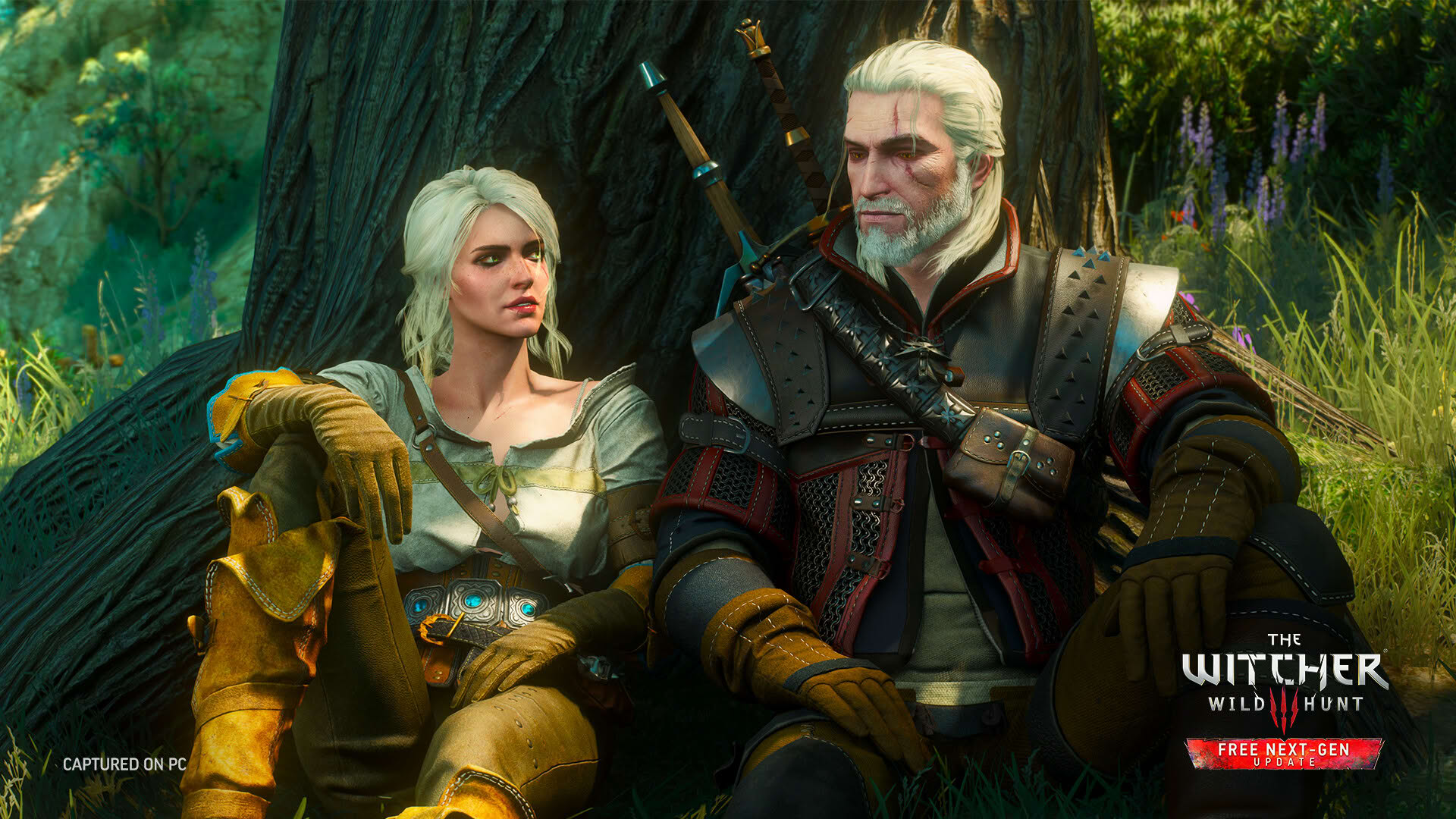 Screenshot for The Witcher 3: Wild Hunt