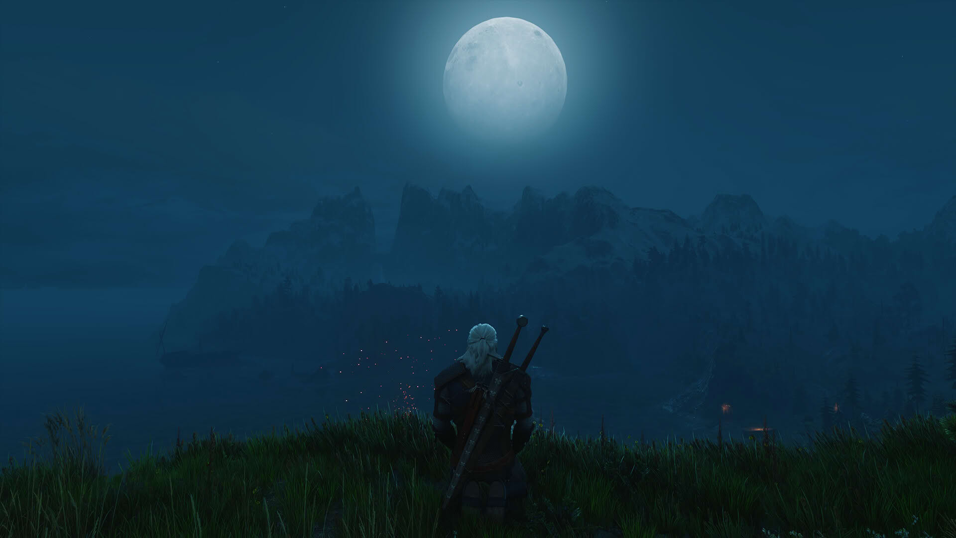 Screenshot for The Witcher 3: Wild Hunt