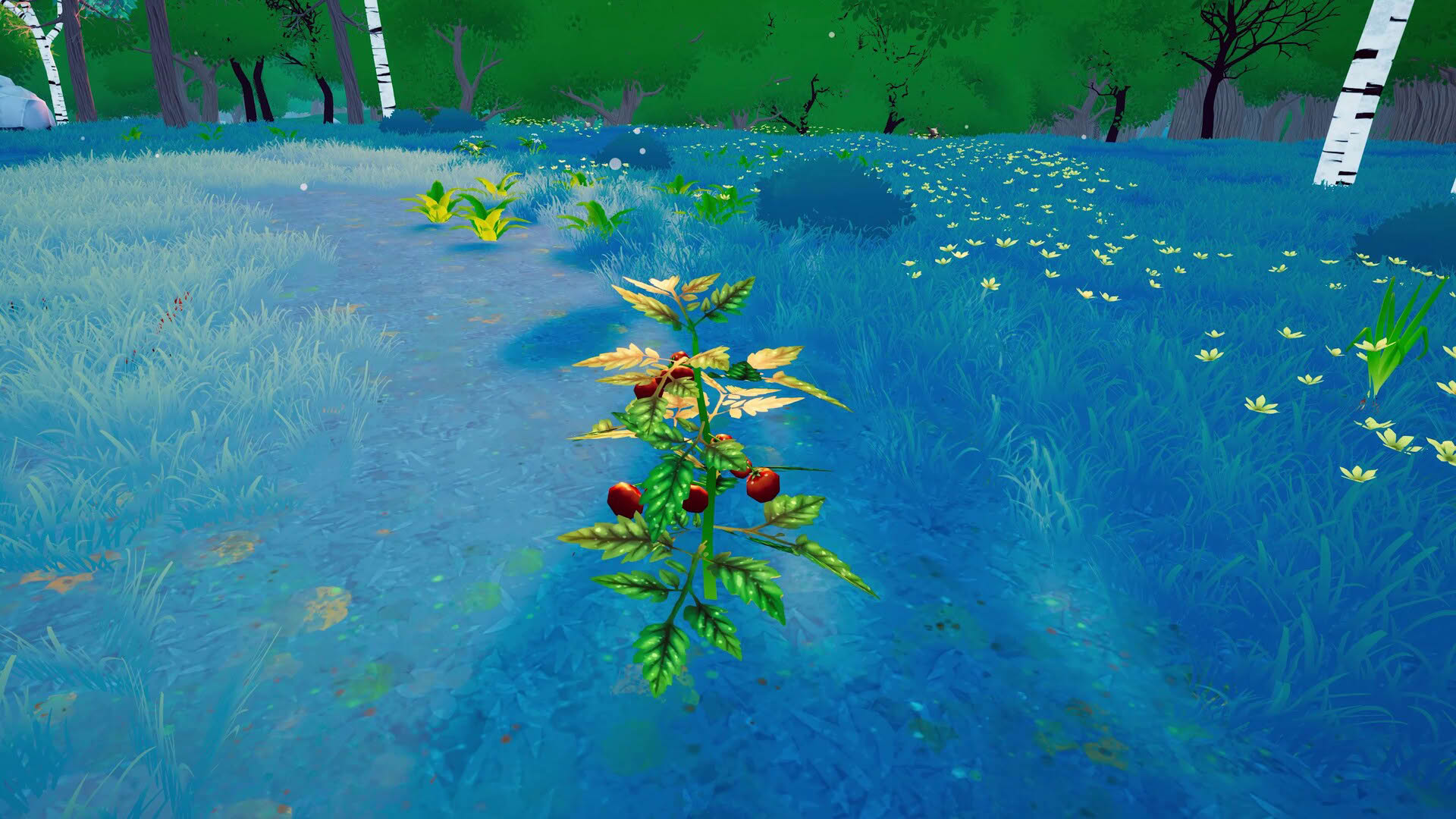 Screenshot for Under Canopies