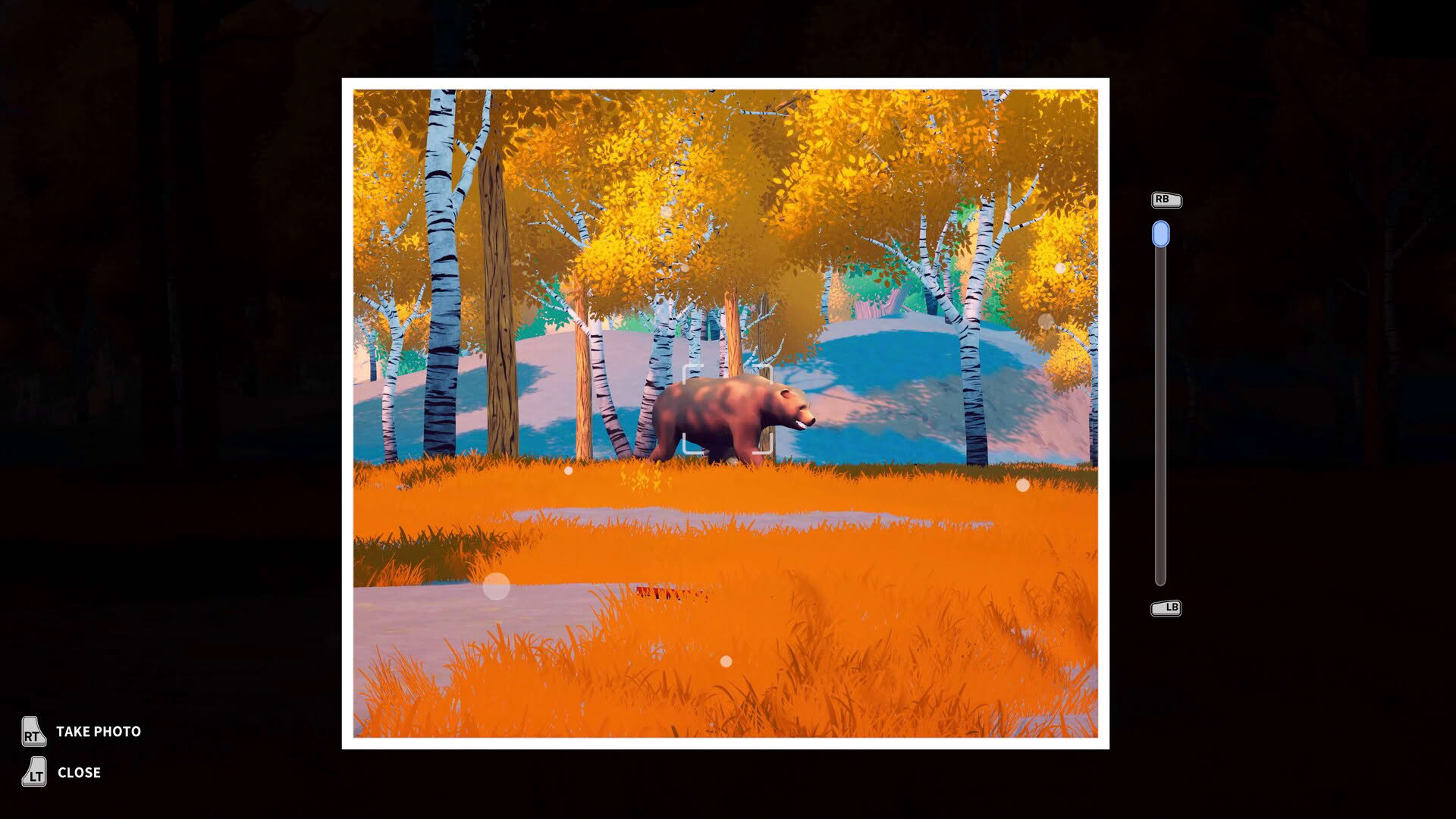 Screenshot for Under Canopies