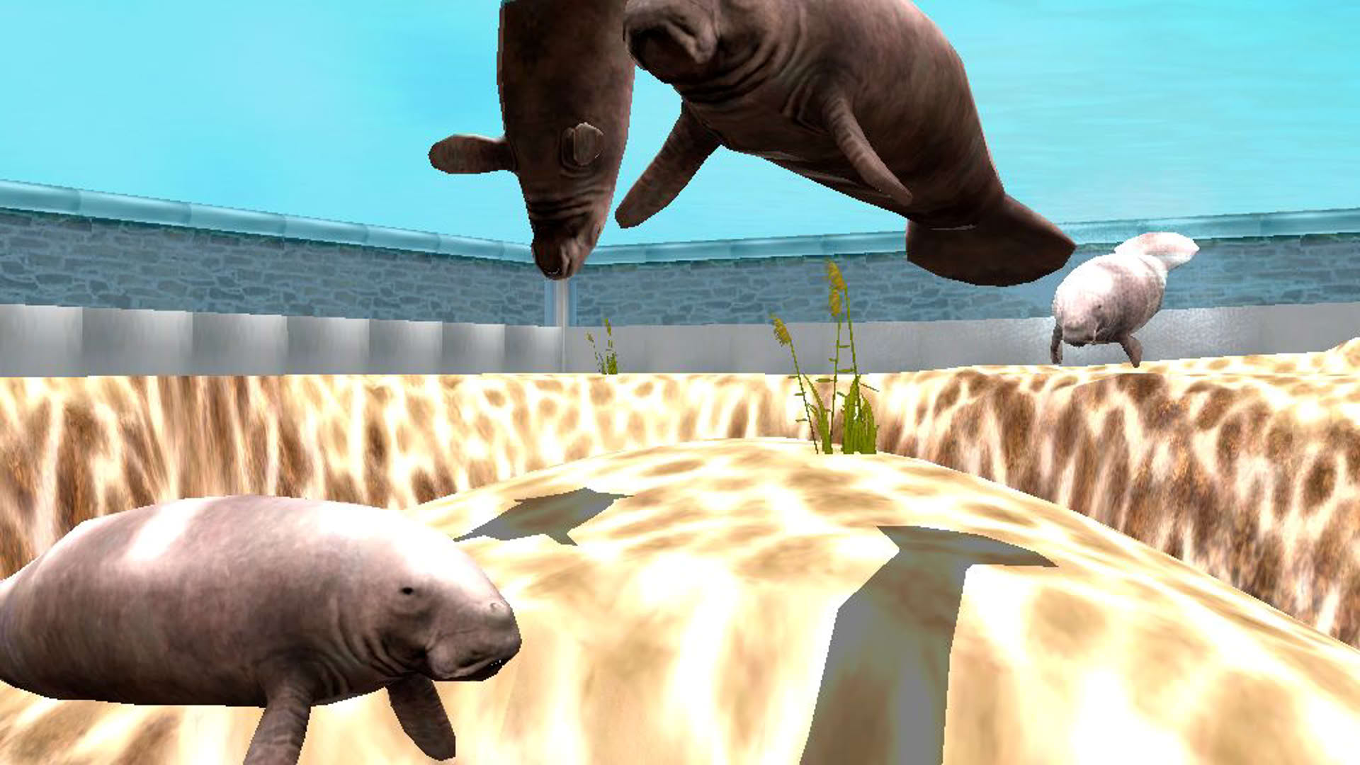 Screenshot for Marine Park Empire