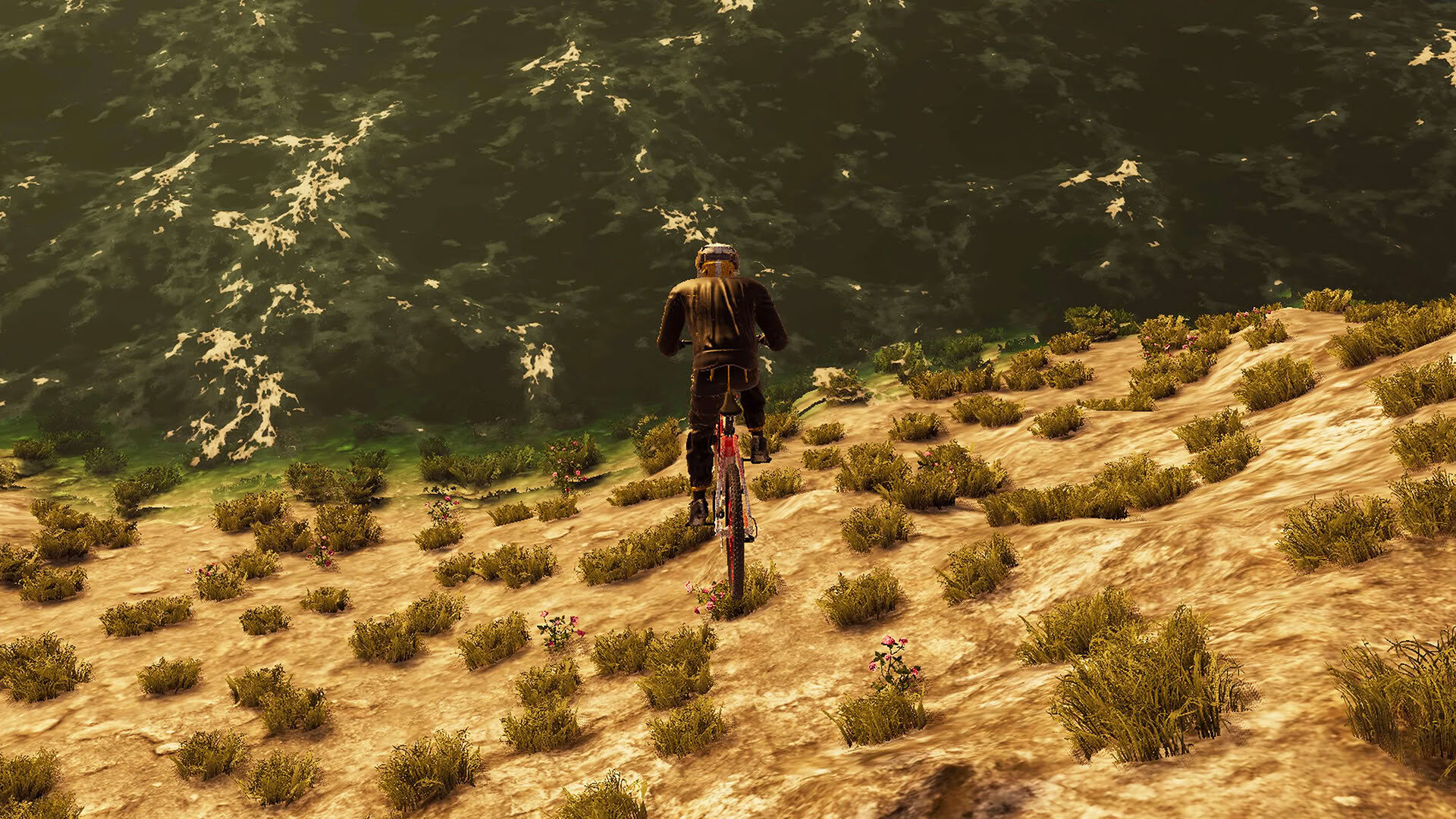 Screenshot for BMX Wild Run