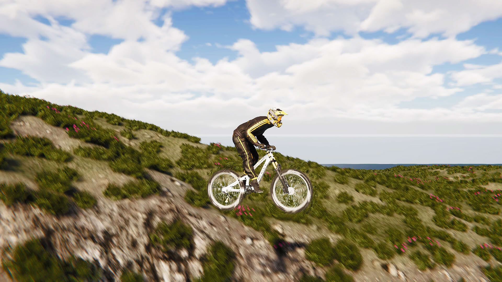 Screenshot for BMX Wild Run
