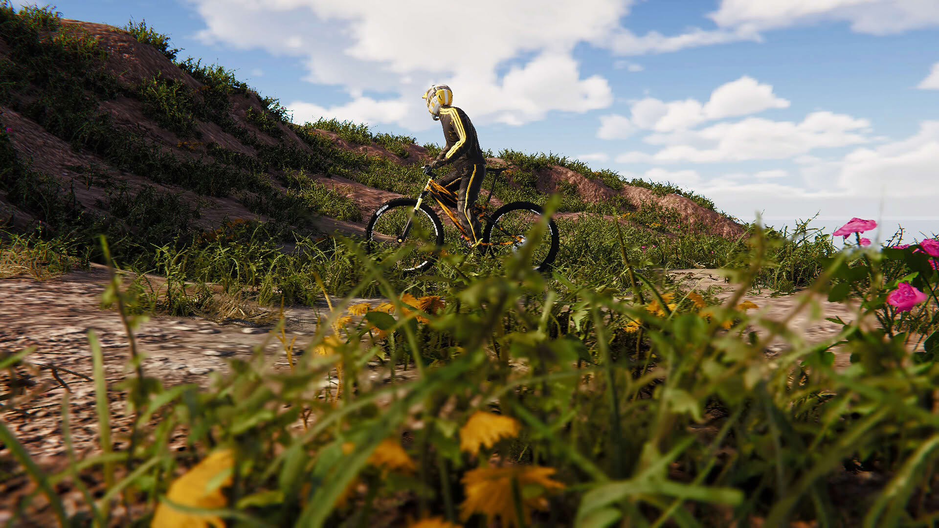 Screenshot for BMX Wild Run