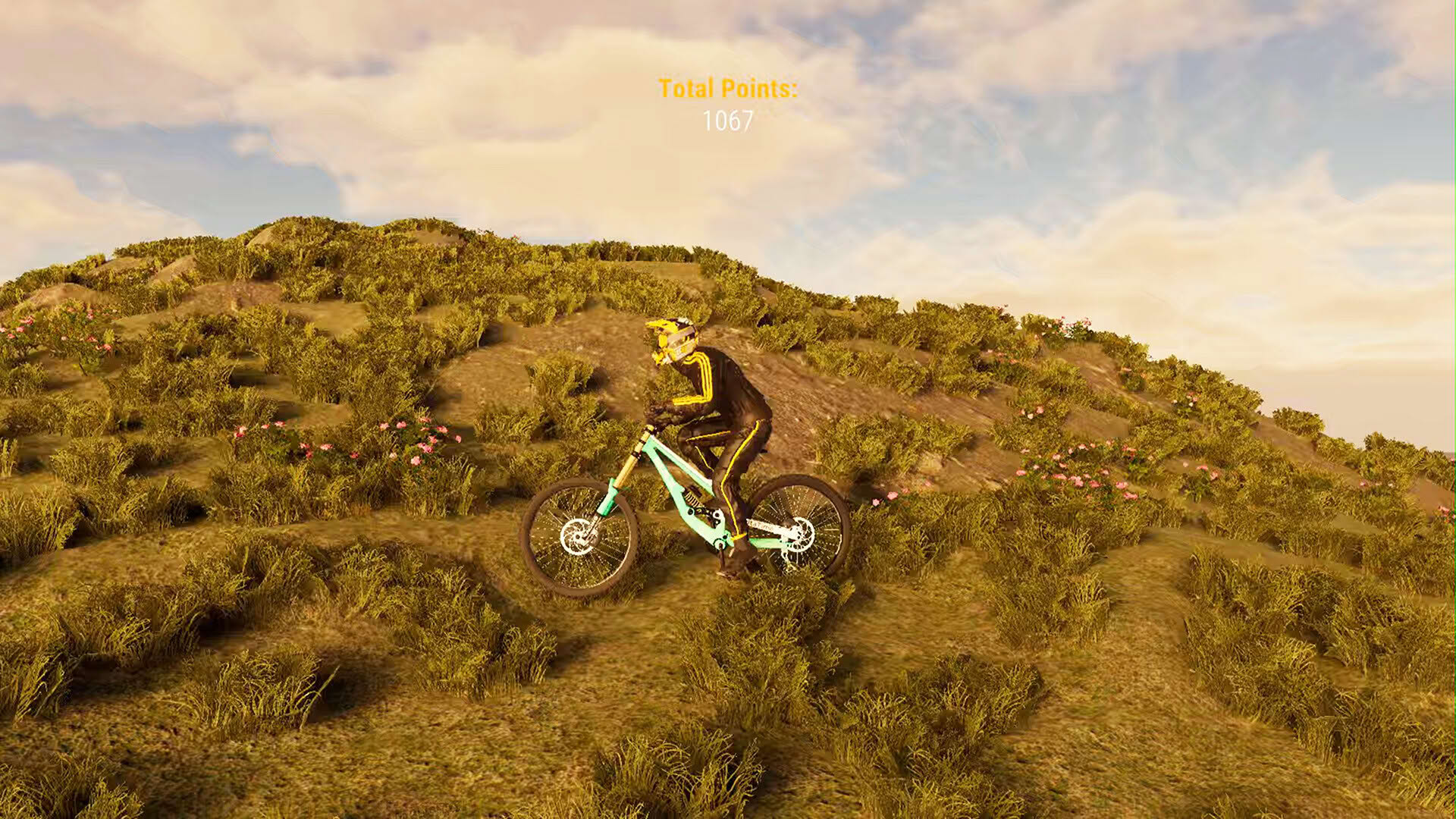 Screenshot for BMX Wild Run