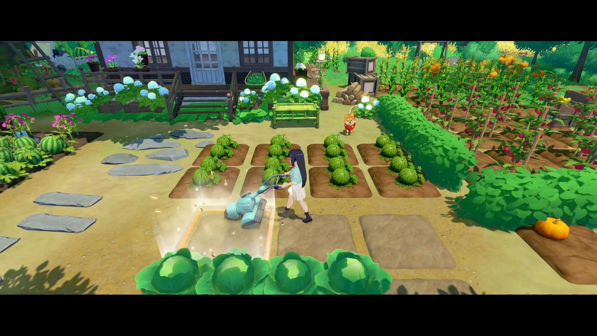 Screenshot for Starsand Island