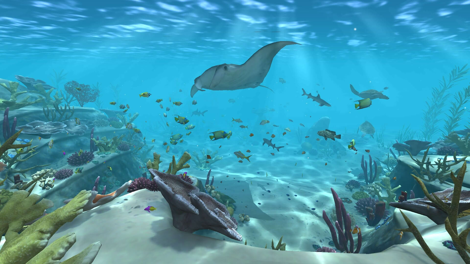 Screenshot for Aqua TV