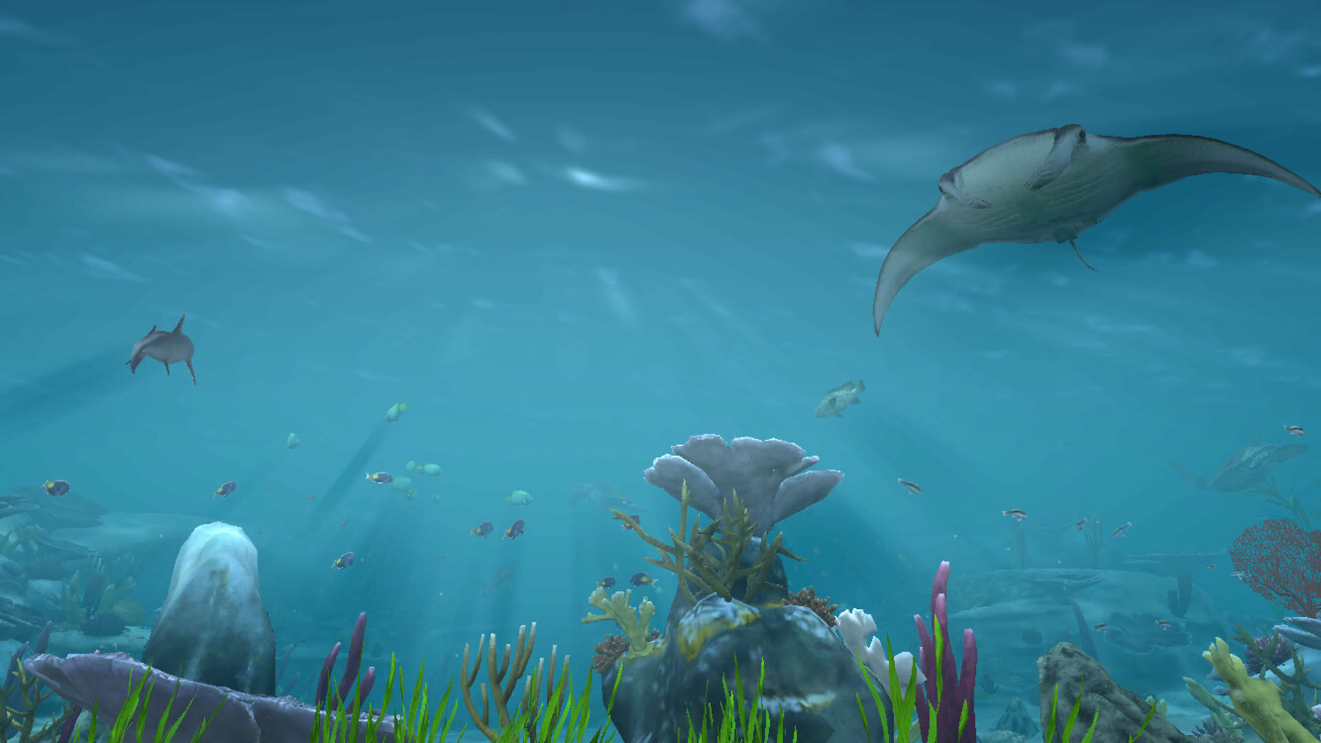 Screenshot for Aqua TV