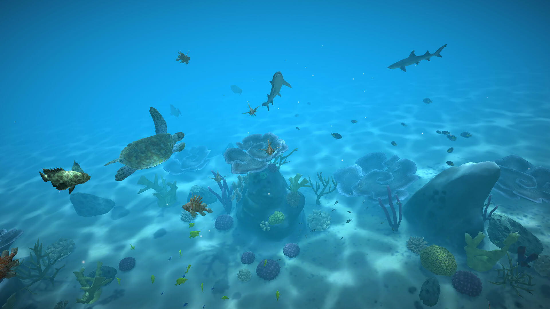 Screenshot for Aqua TV