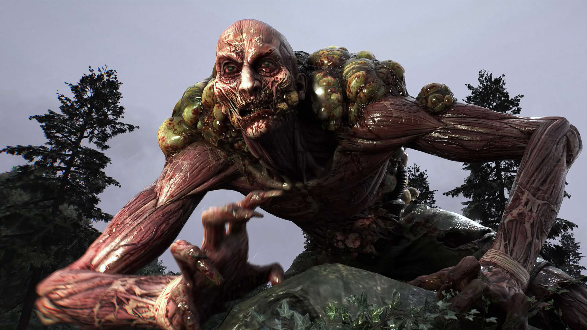 Screenshot for Dying Light: The Beast
