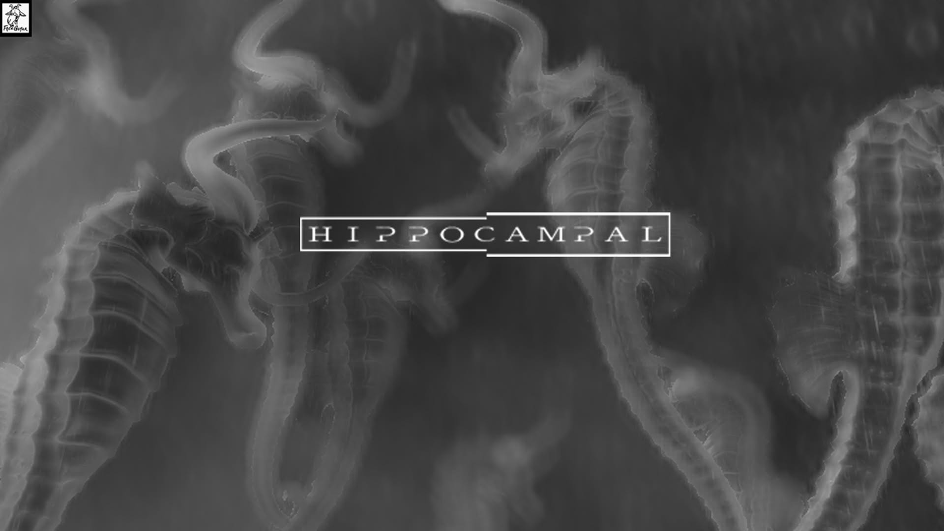 Screenshot for Hippocampal: The White Sofa