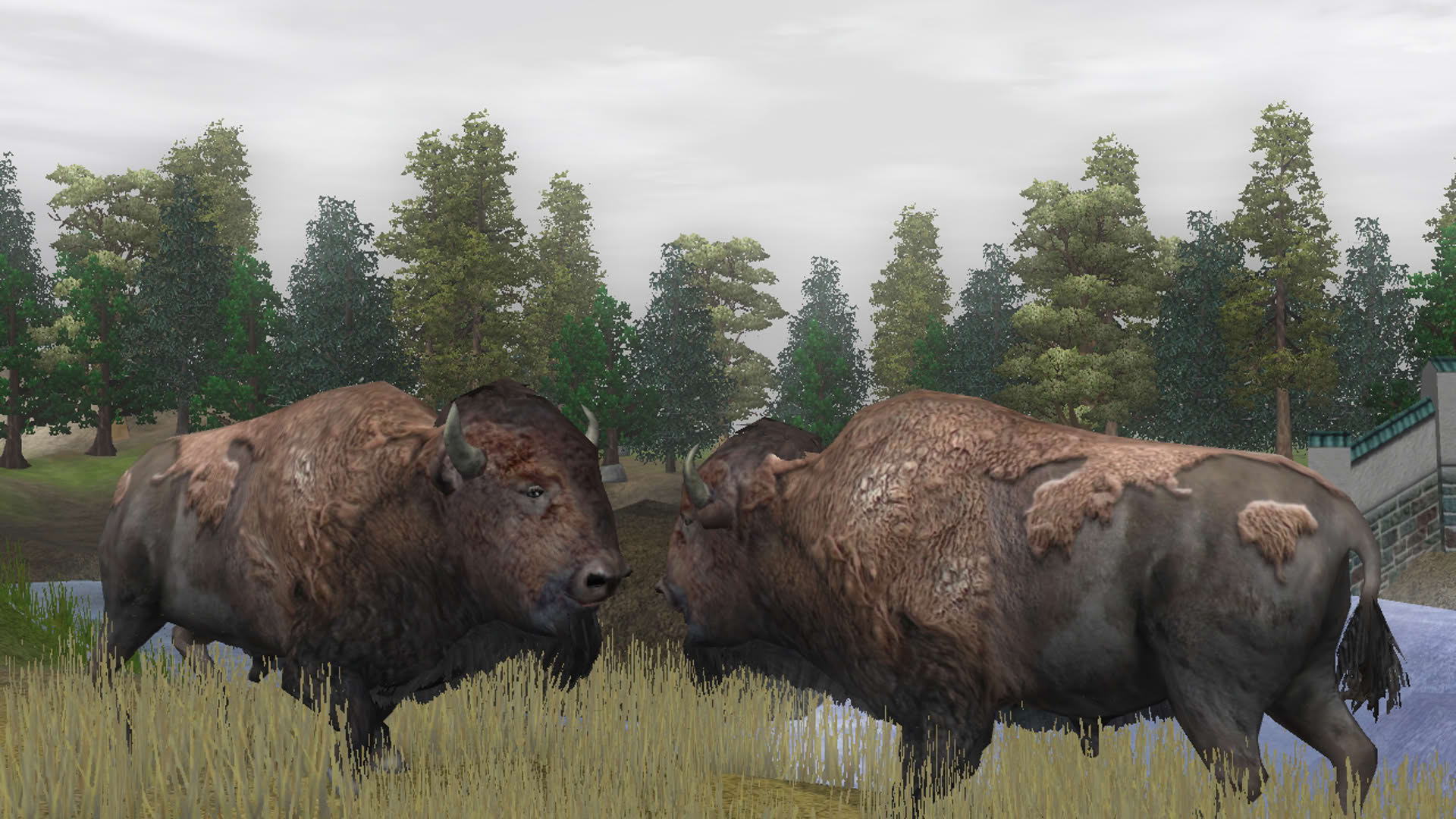 Screenshot for Wildlife Park 2 - Horses