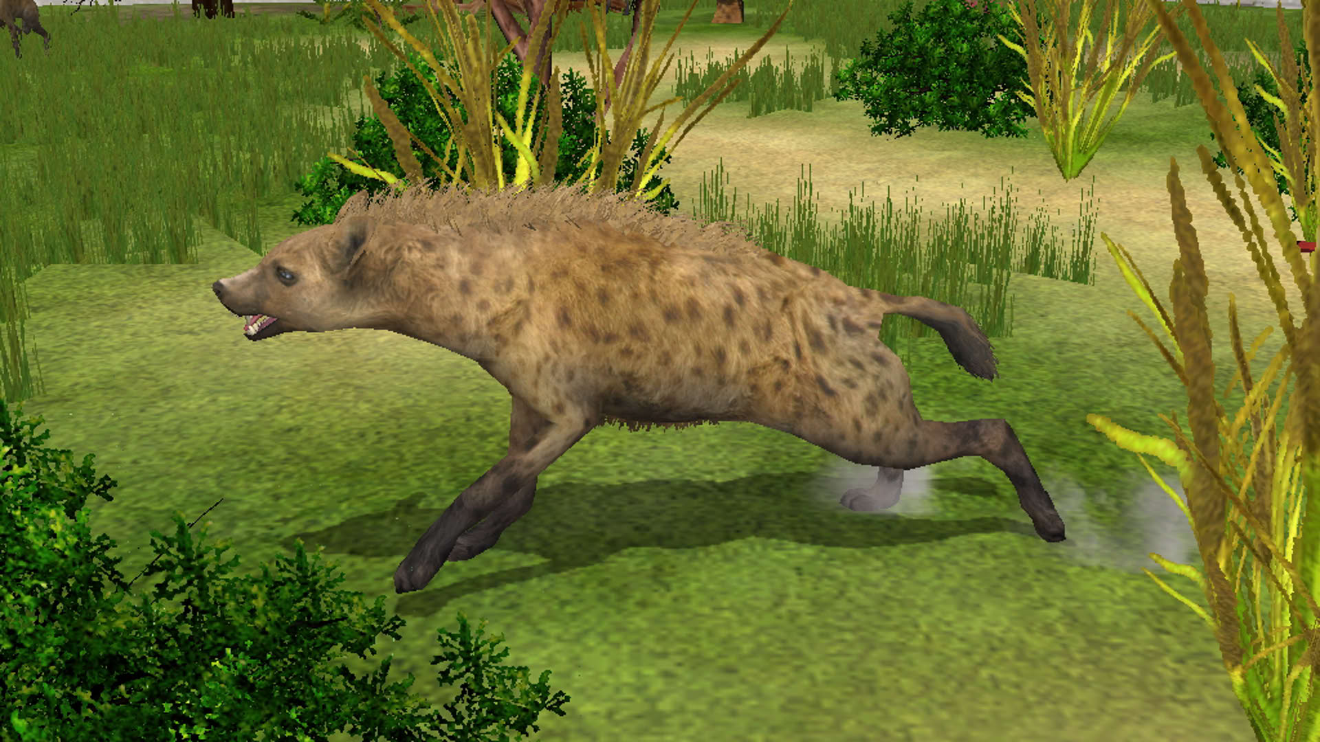 Screenshot for Wildlife Park 2 - Horses