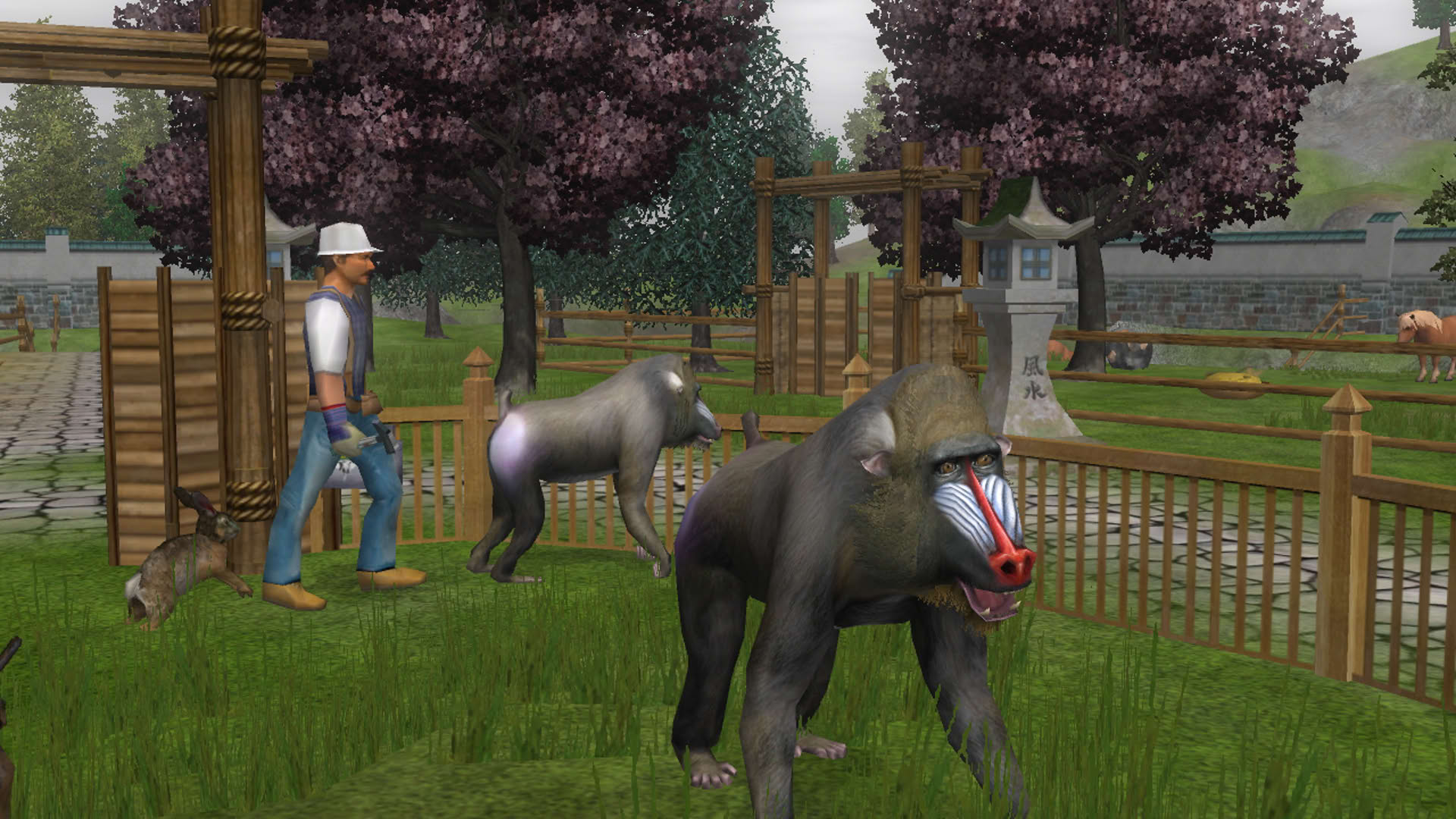Screenshot for Wildlife Park 2 - Horses
