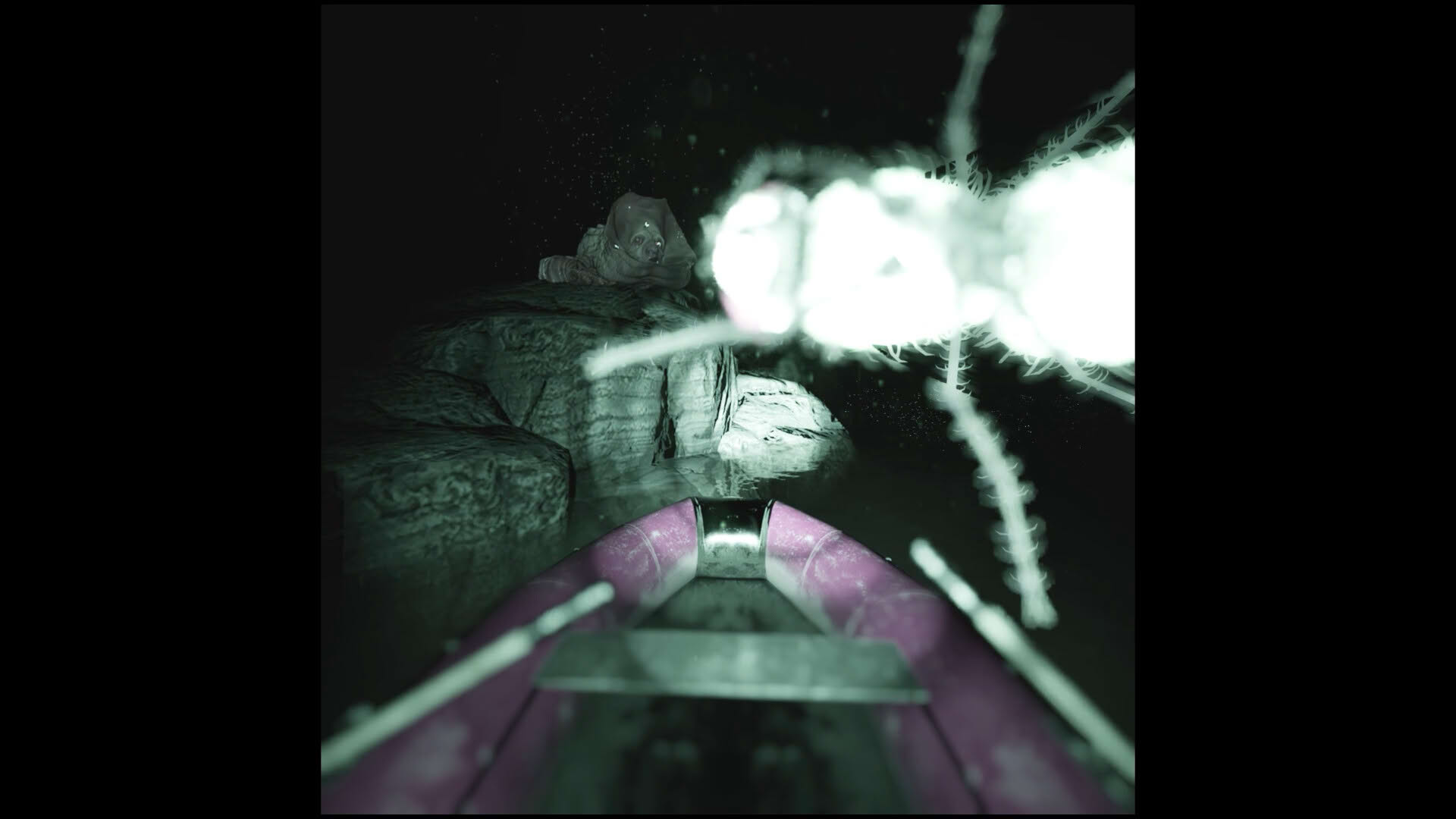 Screenshot for Raccoon on a Boat