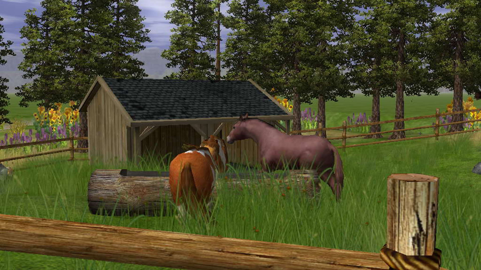 Screenshot for Wildlife Park 2 - Horses