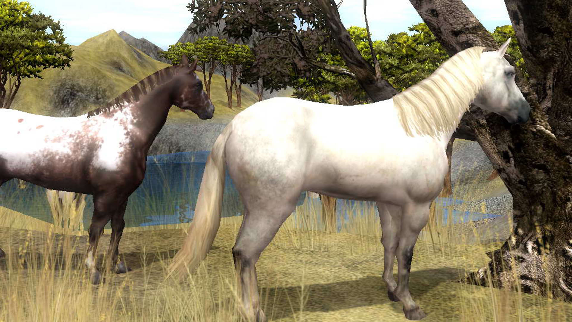 Screenshot for Wildlife Park 2 - Horses
