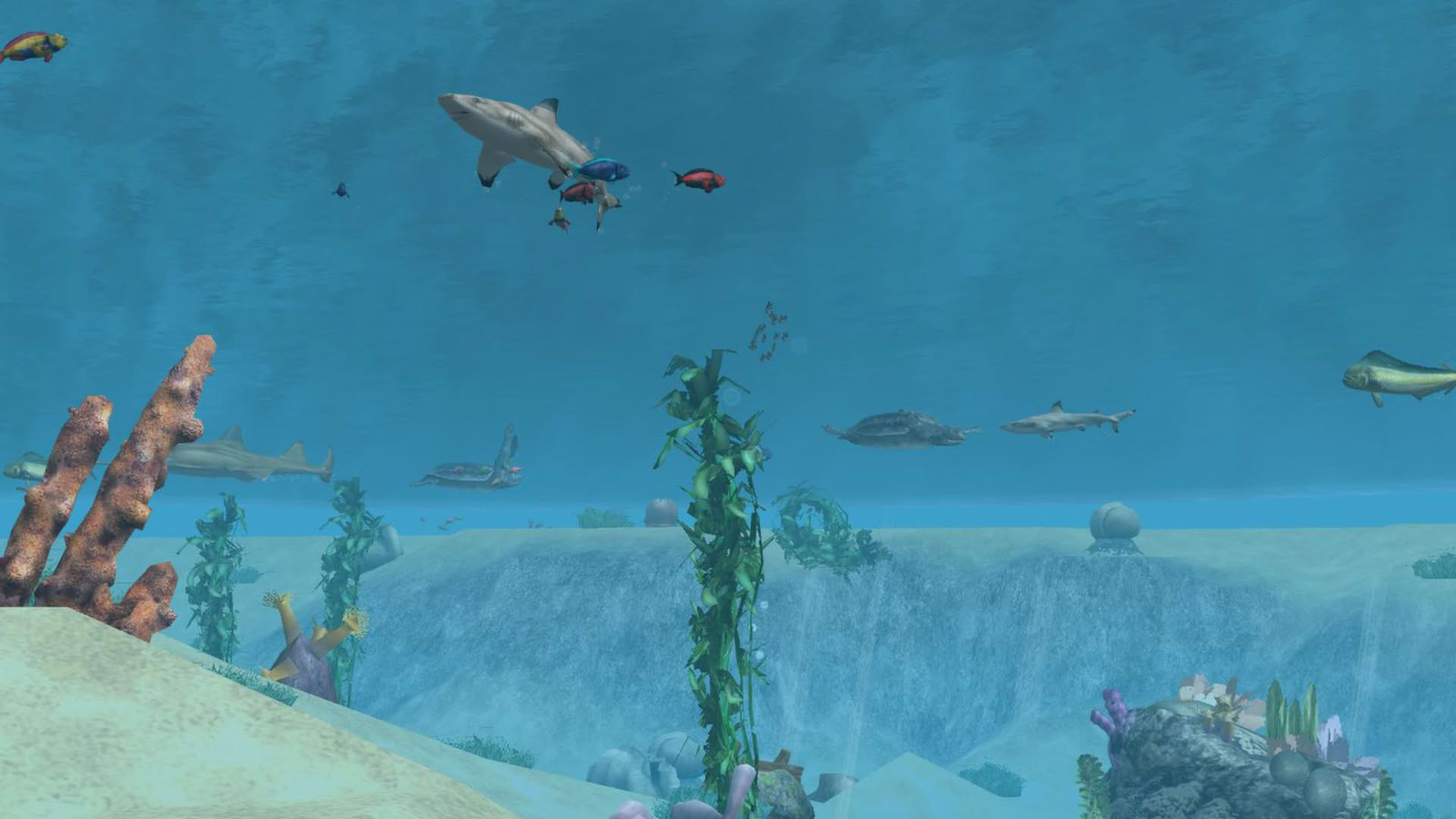 Screenshot for Wildlife Park 2 - Horses