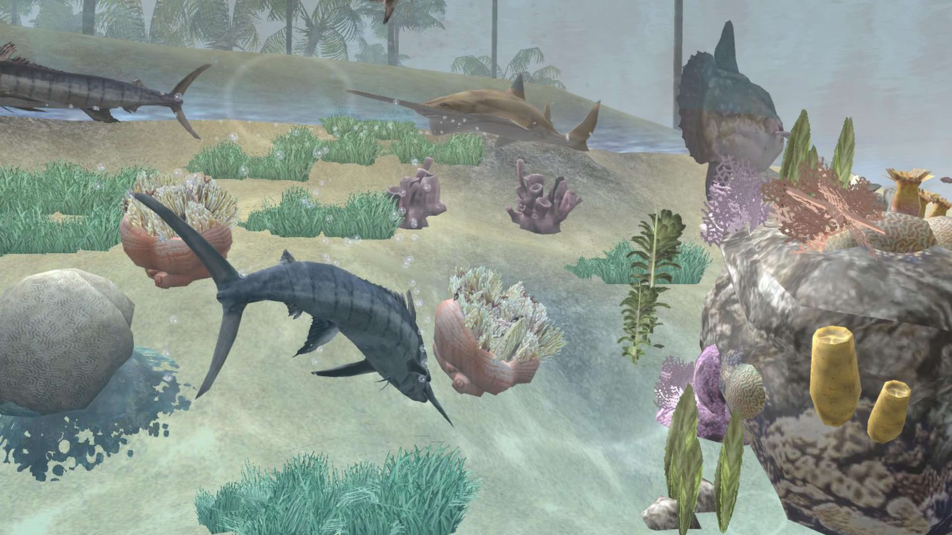 Screenshot for Wildlife Park 2 - Horses
