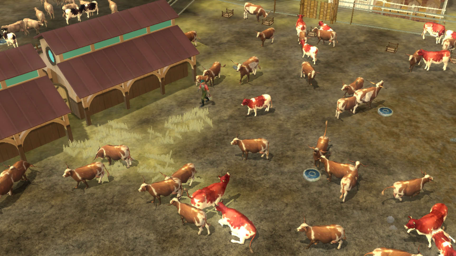 Screenshot for Wildlife Park 2 - Horses