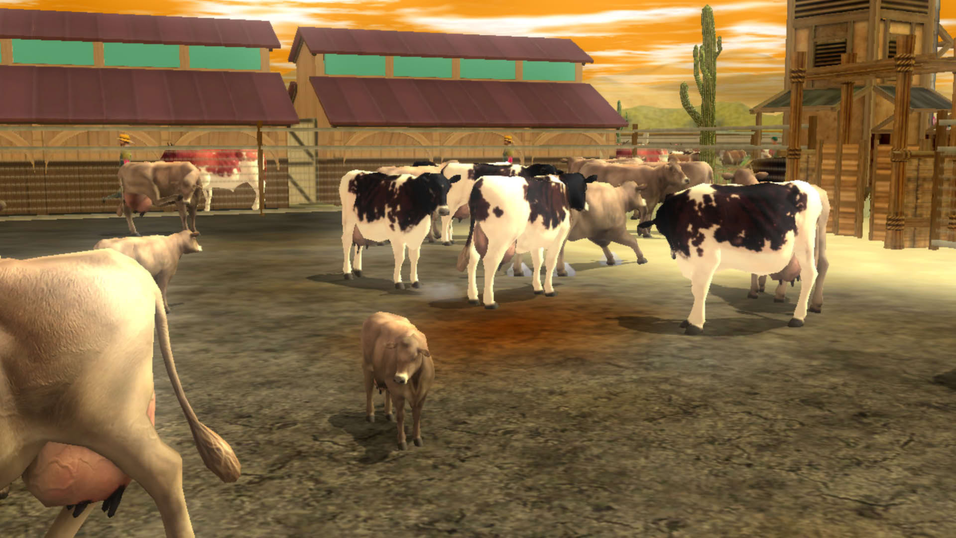 Screenshot for Wildlife Park 2 - Horses