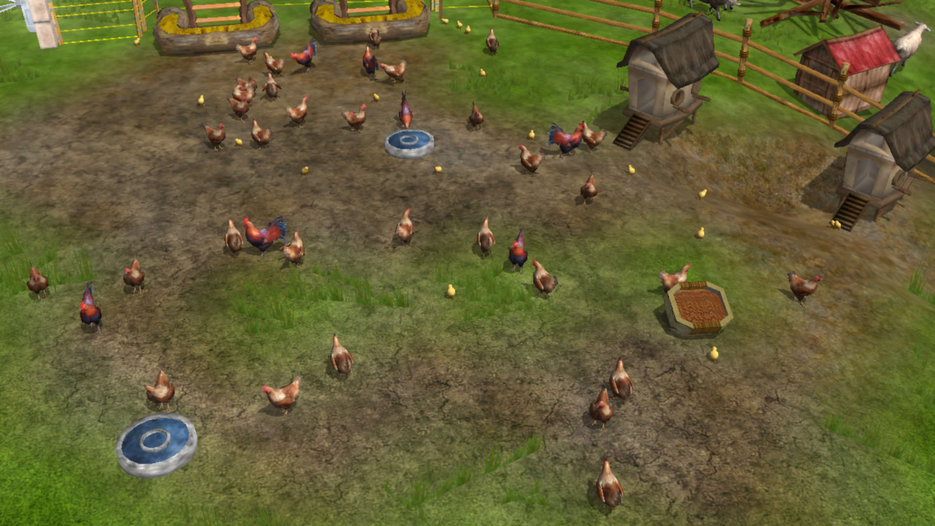 Screenshot for Wildlife Park 2 - Horses