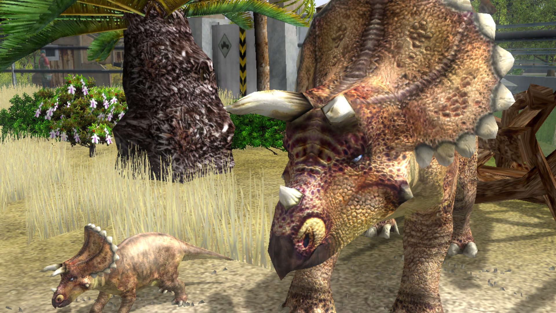 Screenshot for Wildlife Park 2 - Horses