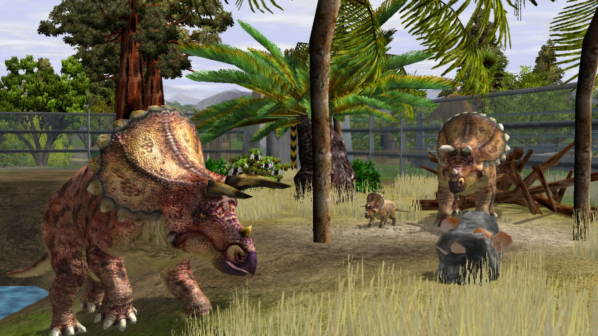 Screenshot for Wildlife Park 2 - Horses