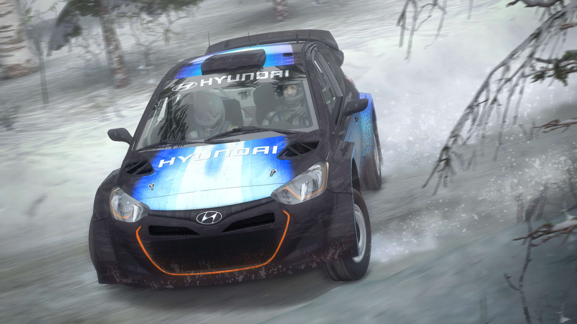 Screenshot for Dirt Rally