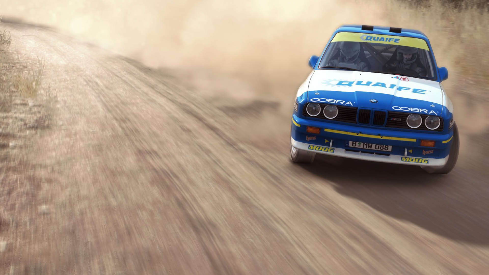 Screenshot for Dirt Rally