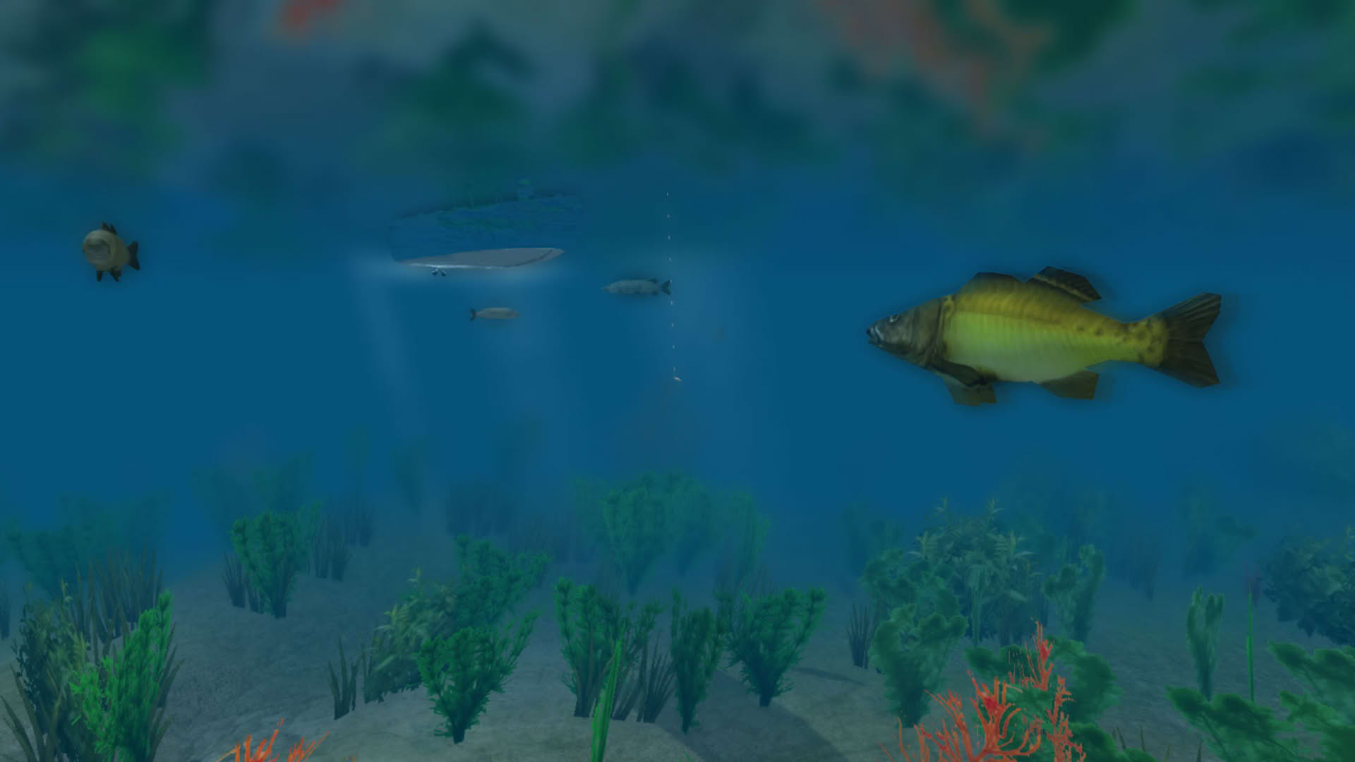 Screenshot for European Fishing