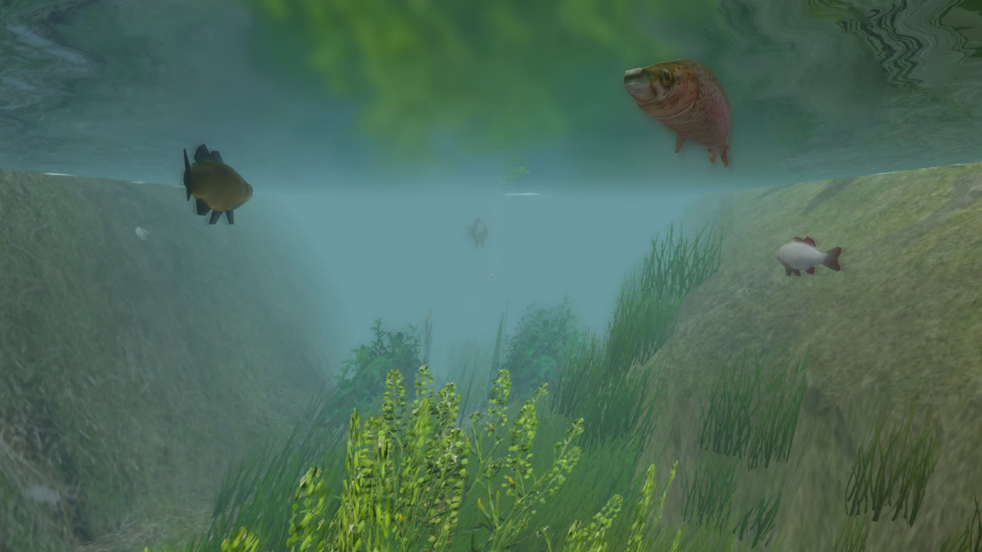 Screenshot for European Fishing