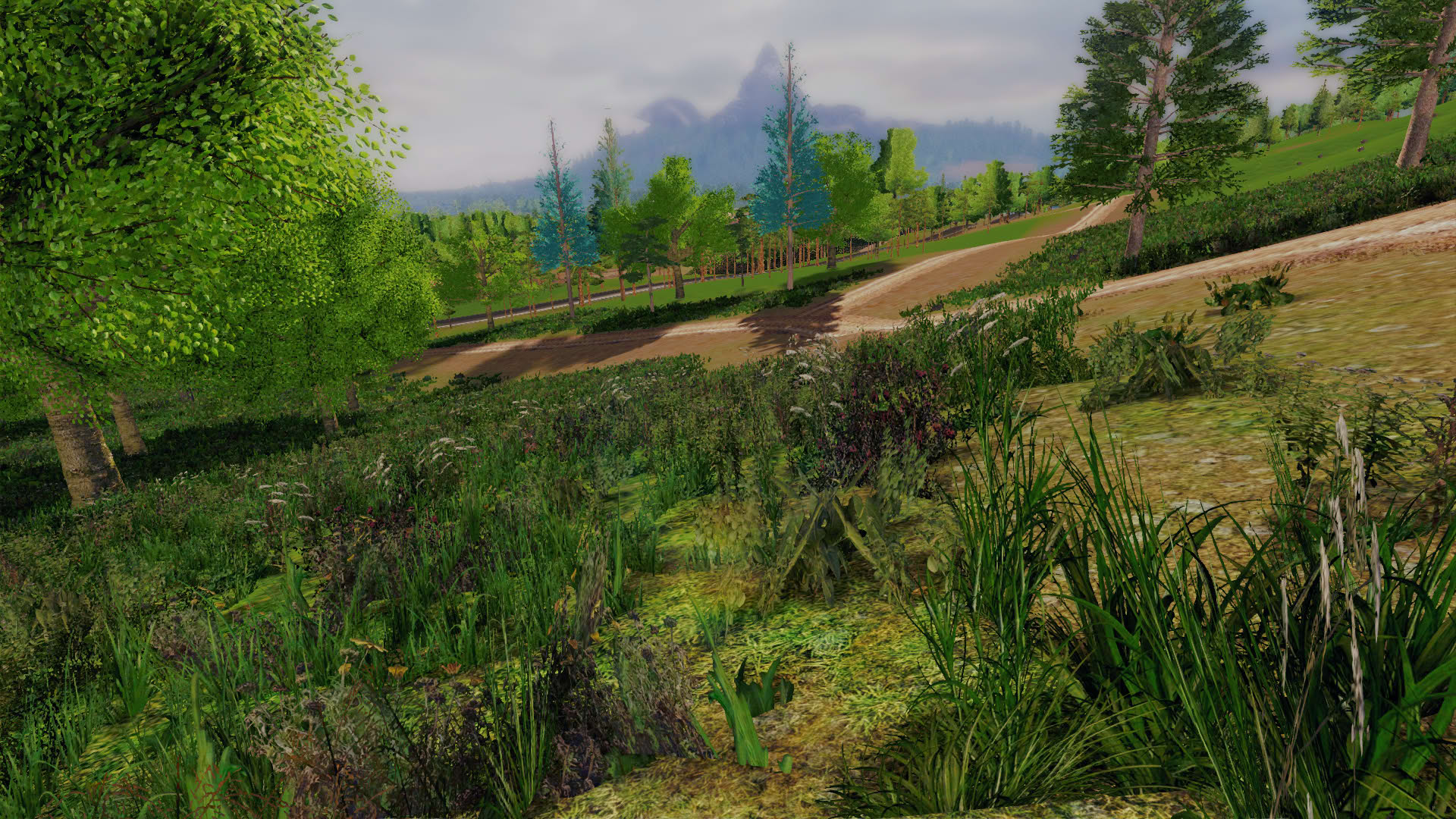 Screenshot for Professional Lumberjack 2015