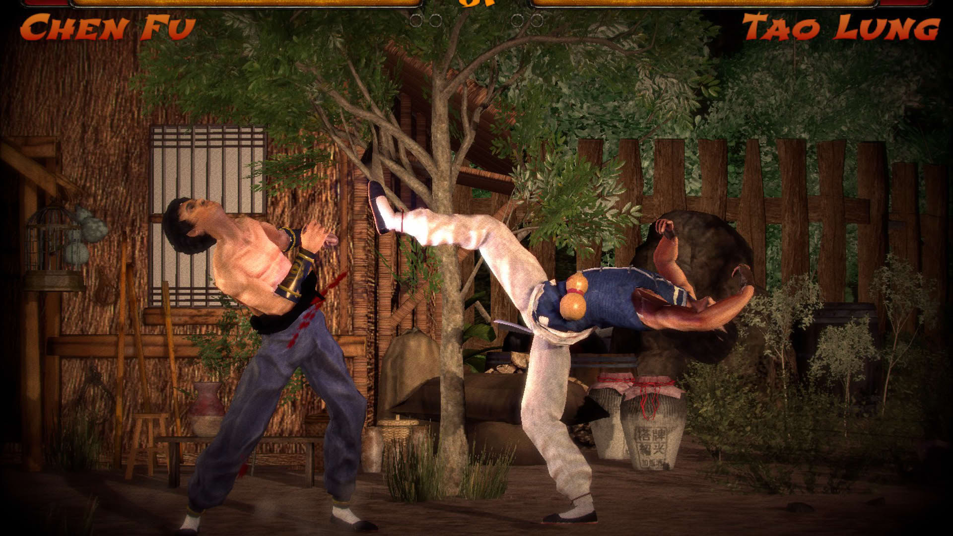 Screenshot for Kings of Kung Fu