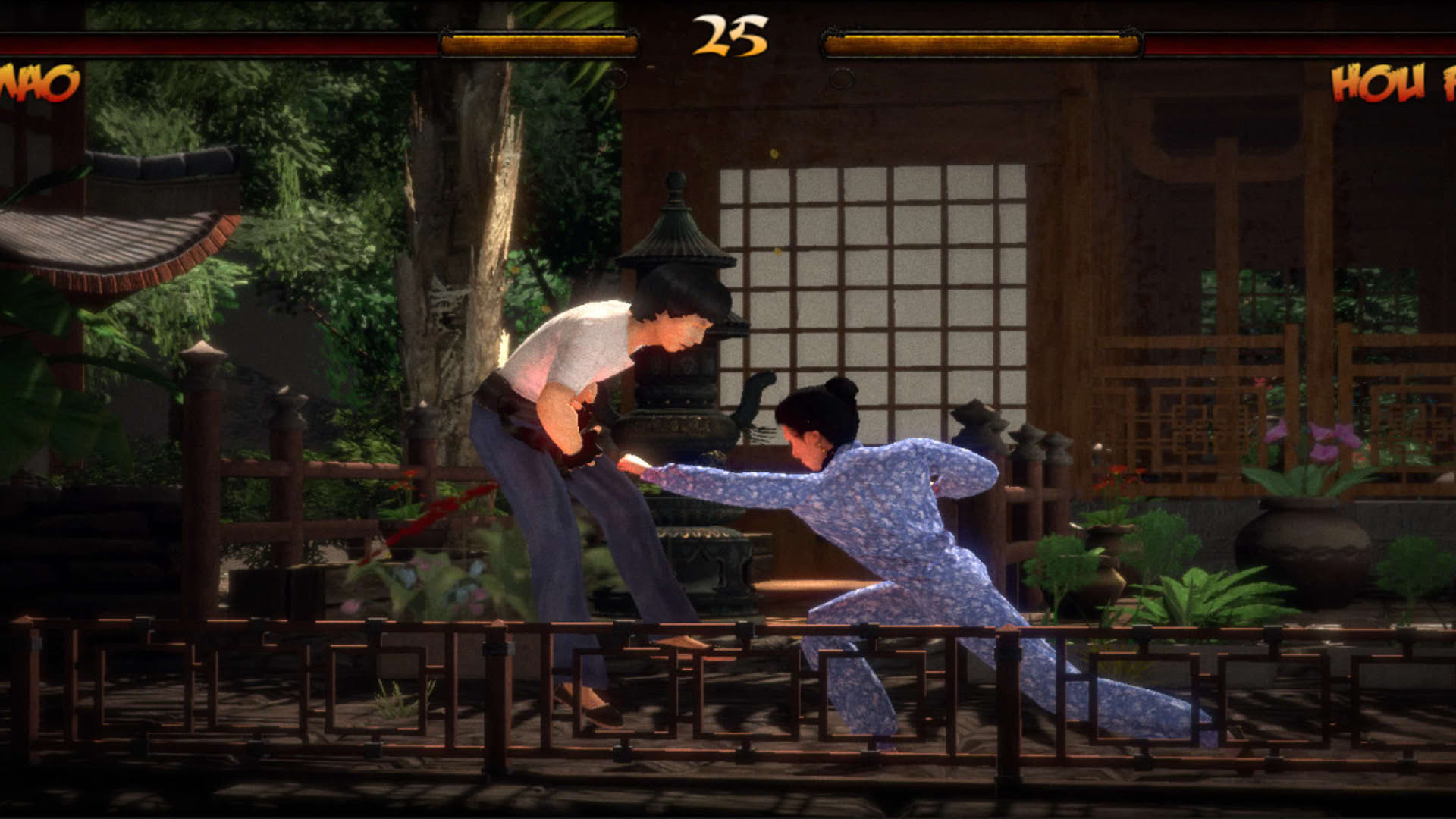 Screenshot for Kings of Kung Fu