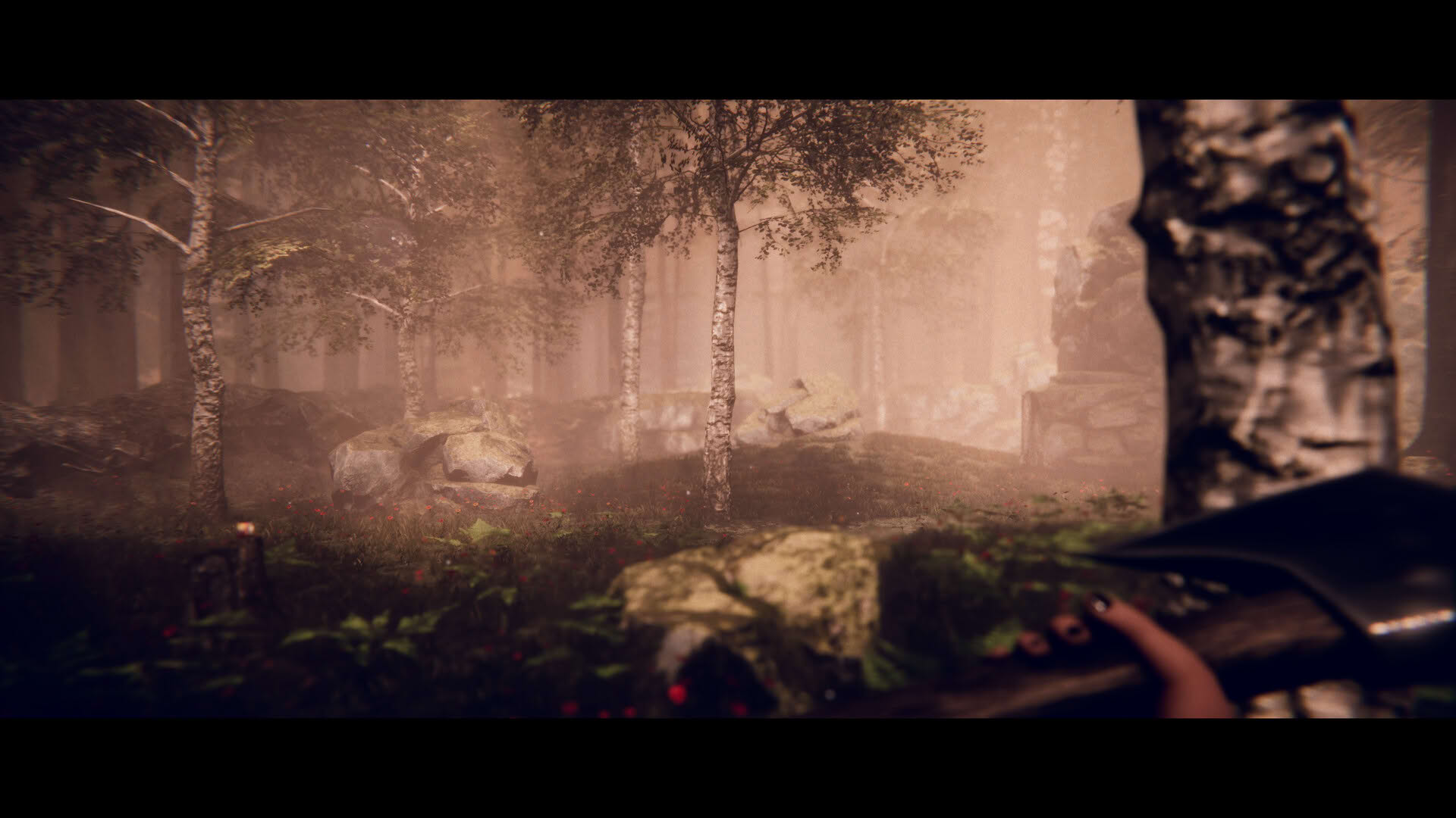 Screenshot for Project Songbird