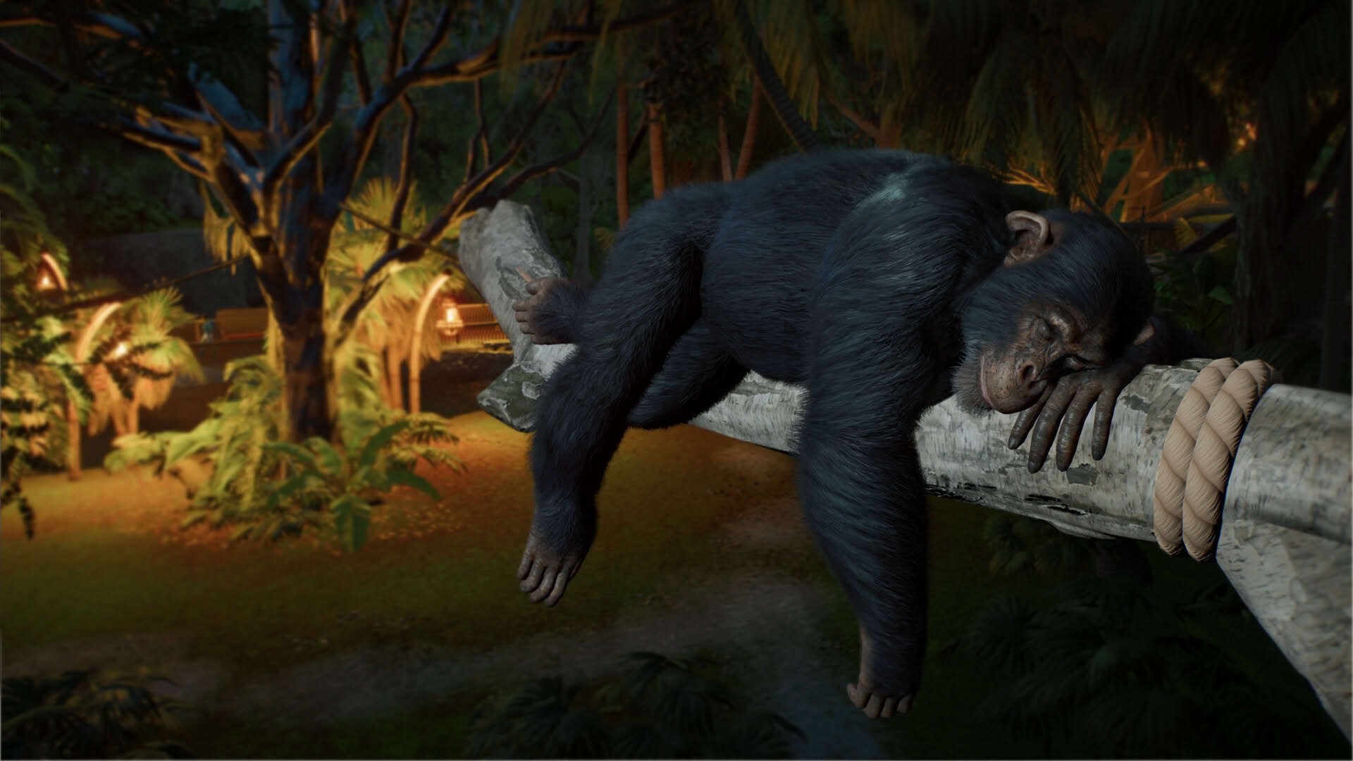 Screenshot for Planet Zoo 2