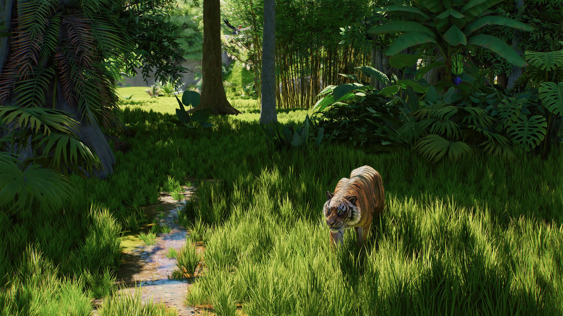 Screenshot for Planet Zoo 2