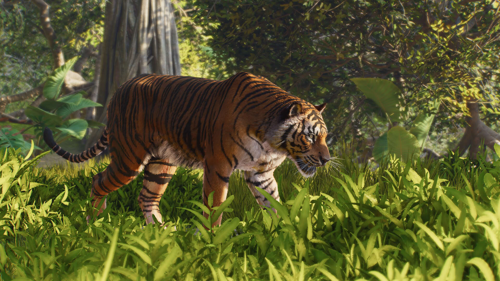Screenshot for Planet Zoo 2