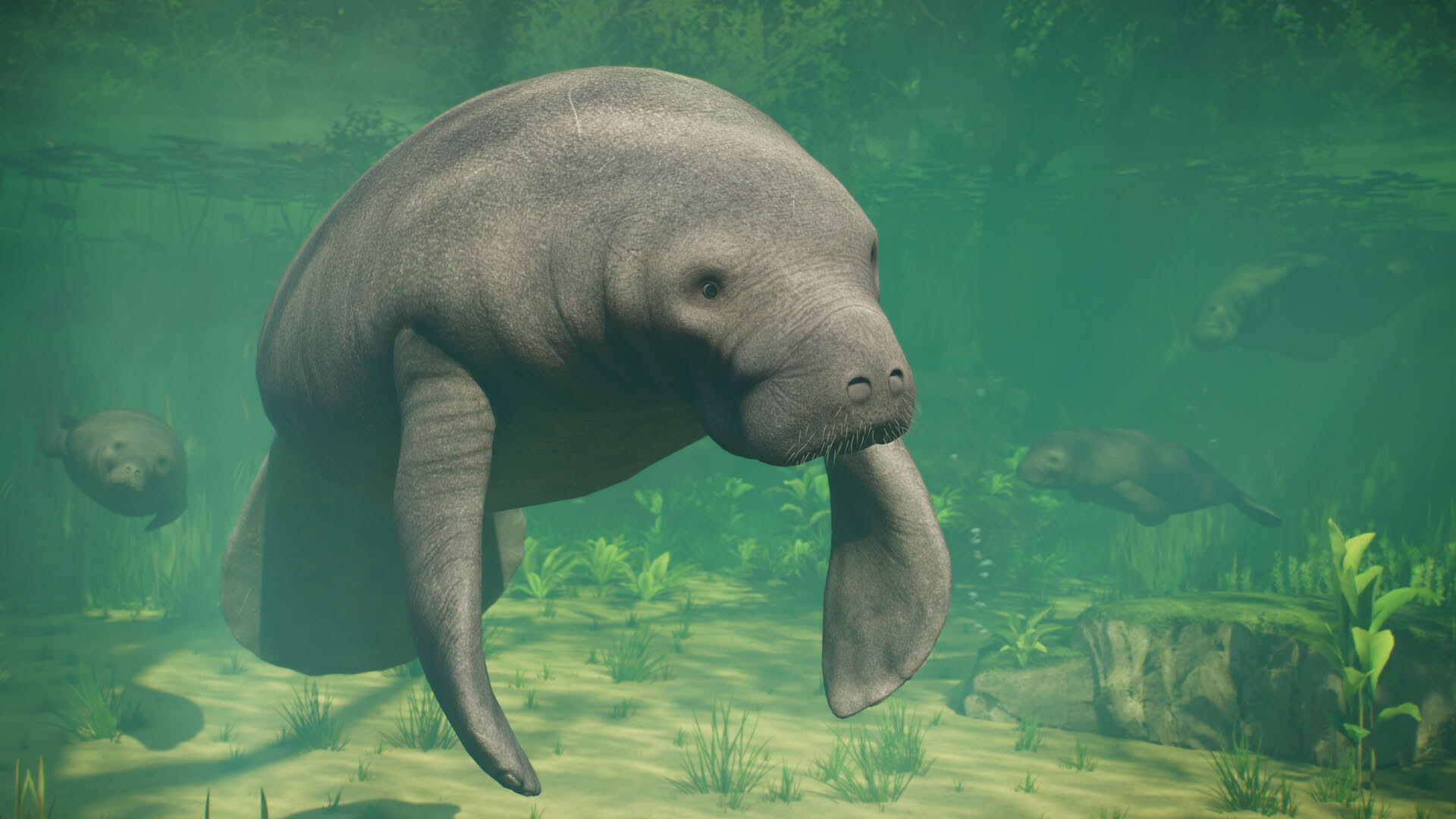 Screenshot for Planet Zoo 2