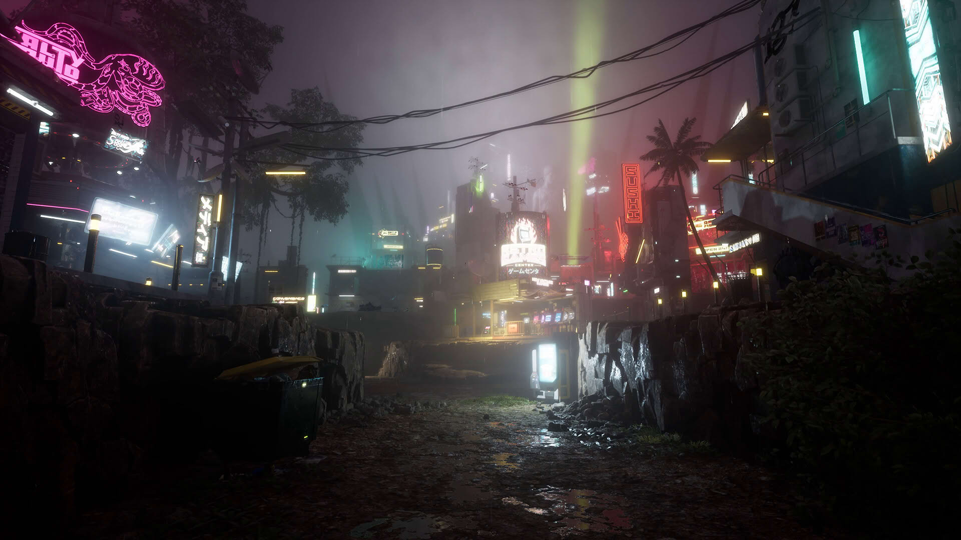 Screenshot for Drizzlepath: Picturae