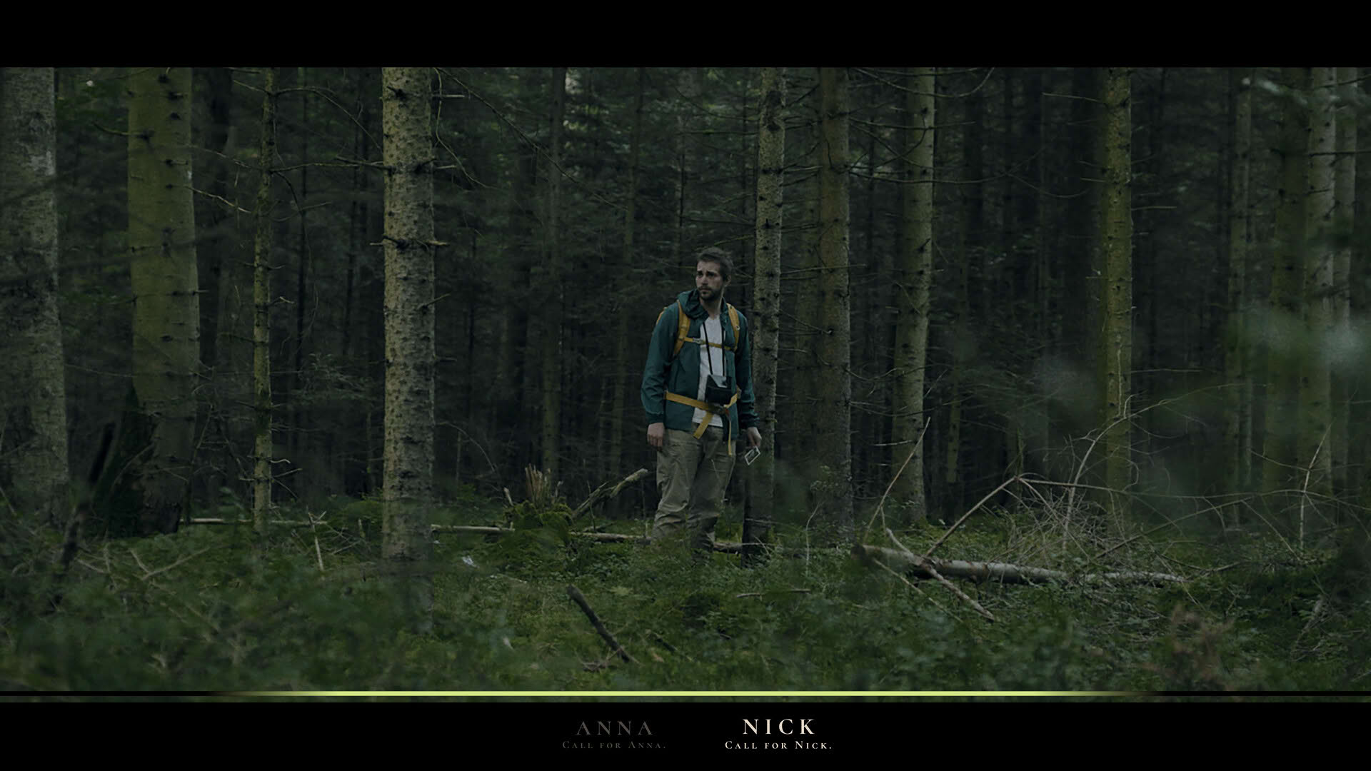 Screenshot for Heart of the Forest