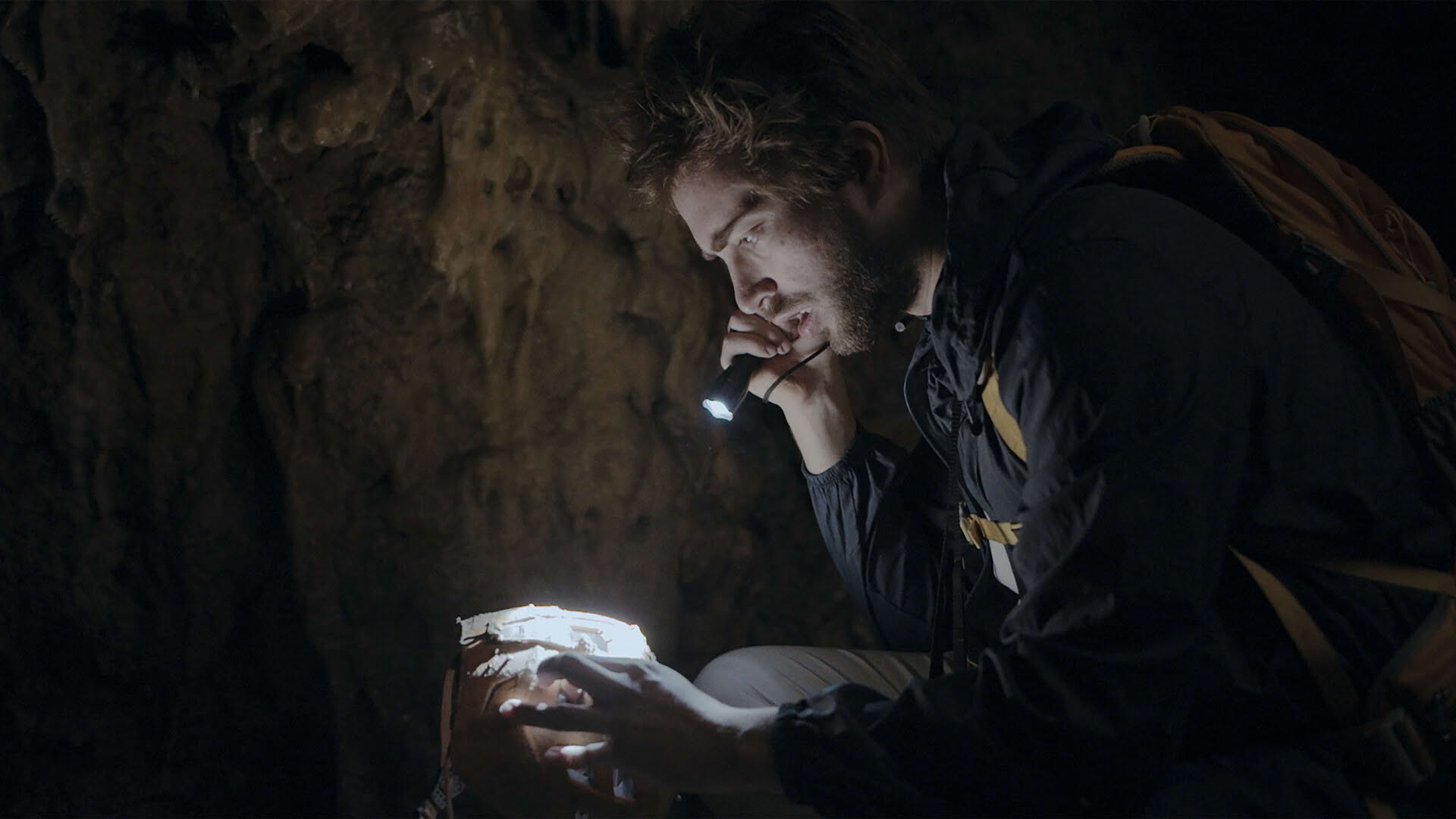 Screenshot for Heart of the Forest