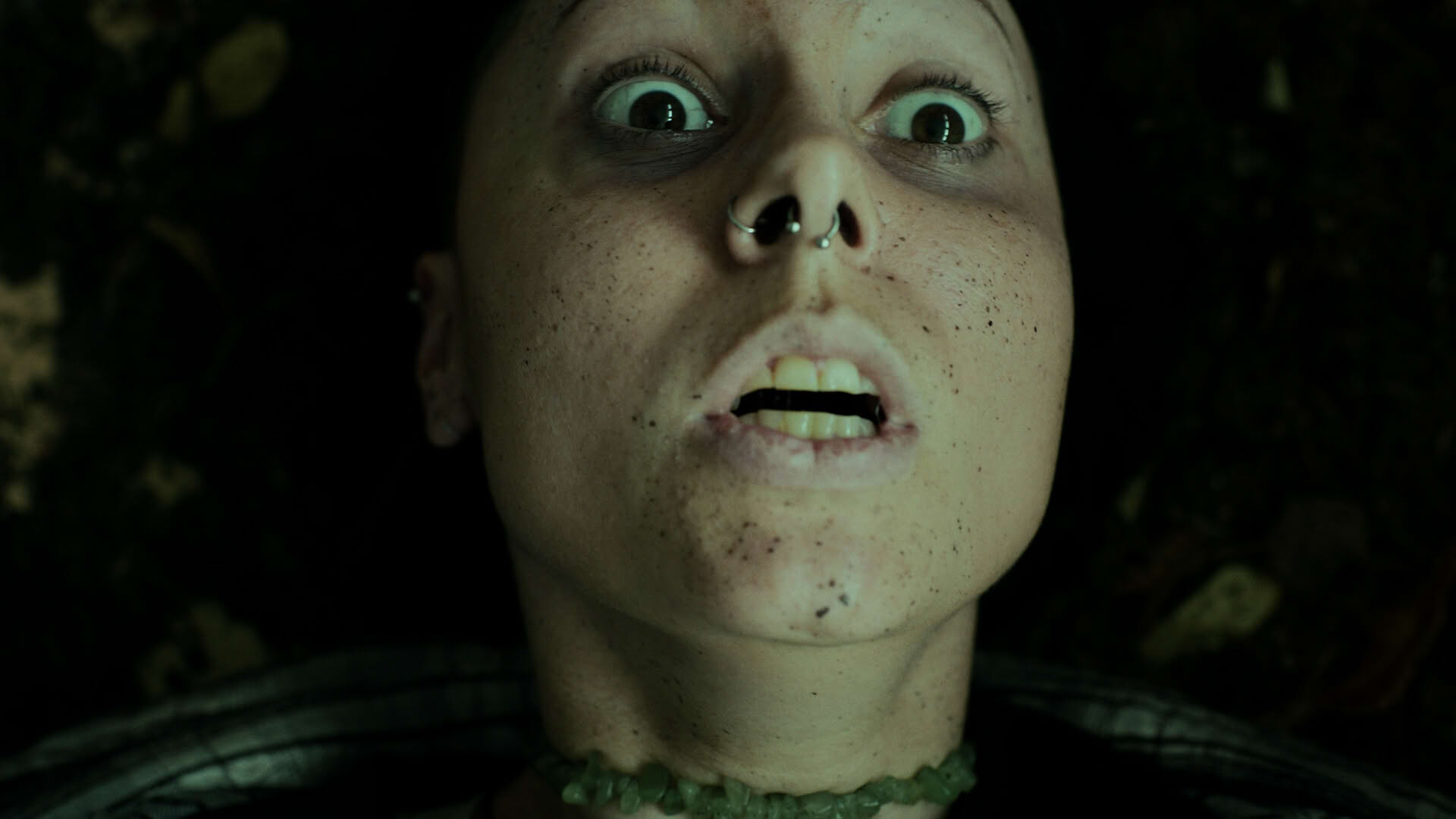 Screenshot for Heart of the Forest