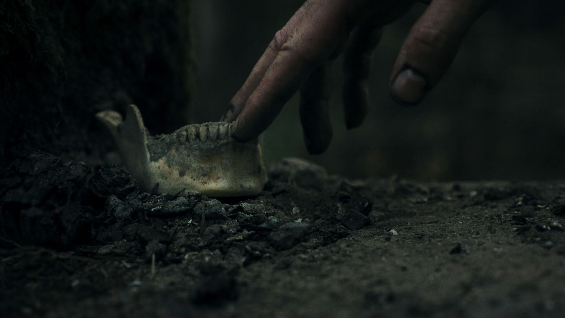Screenshot for Heart of the Forest