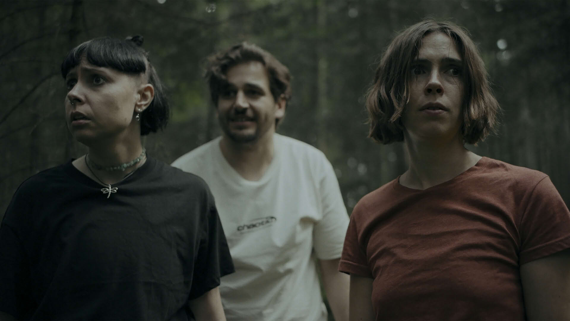 Screenshot for Heart of the Forest